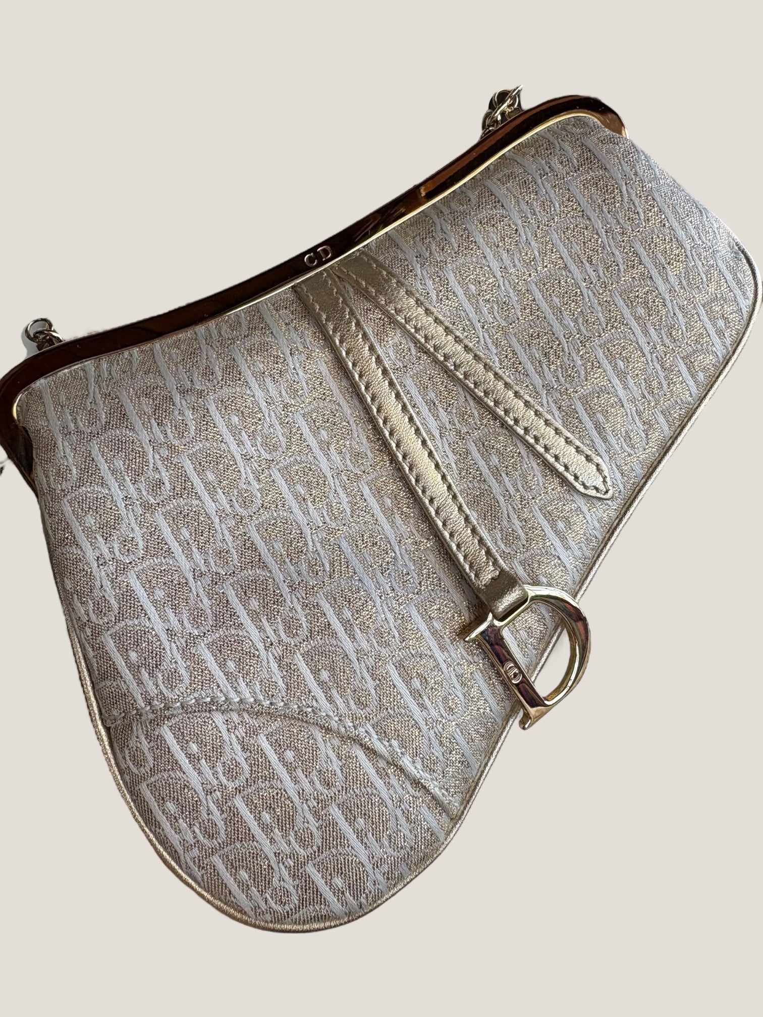 Christian Dior Mini Saddle