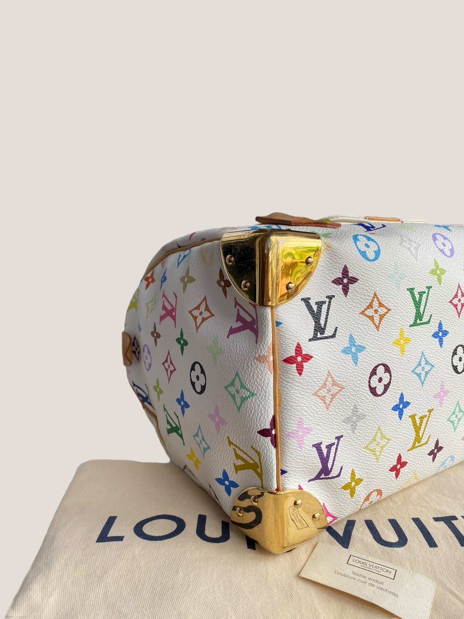 Louis Vuitton Speedy 30 Multicolor