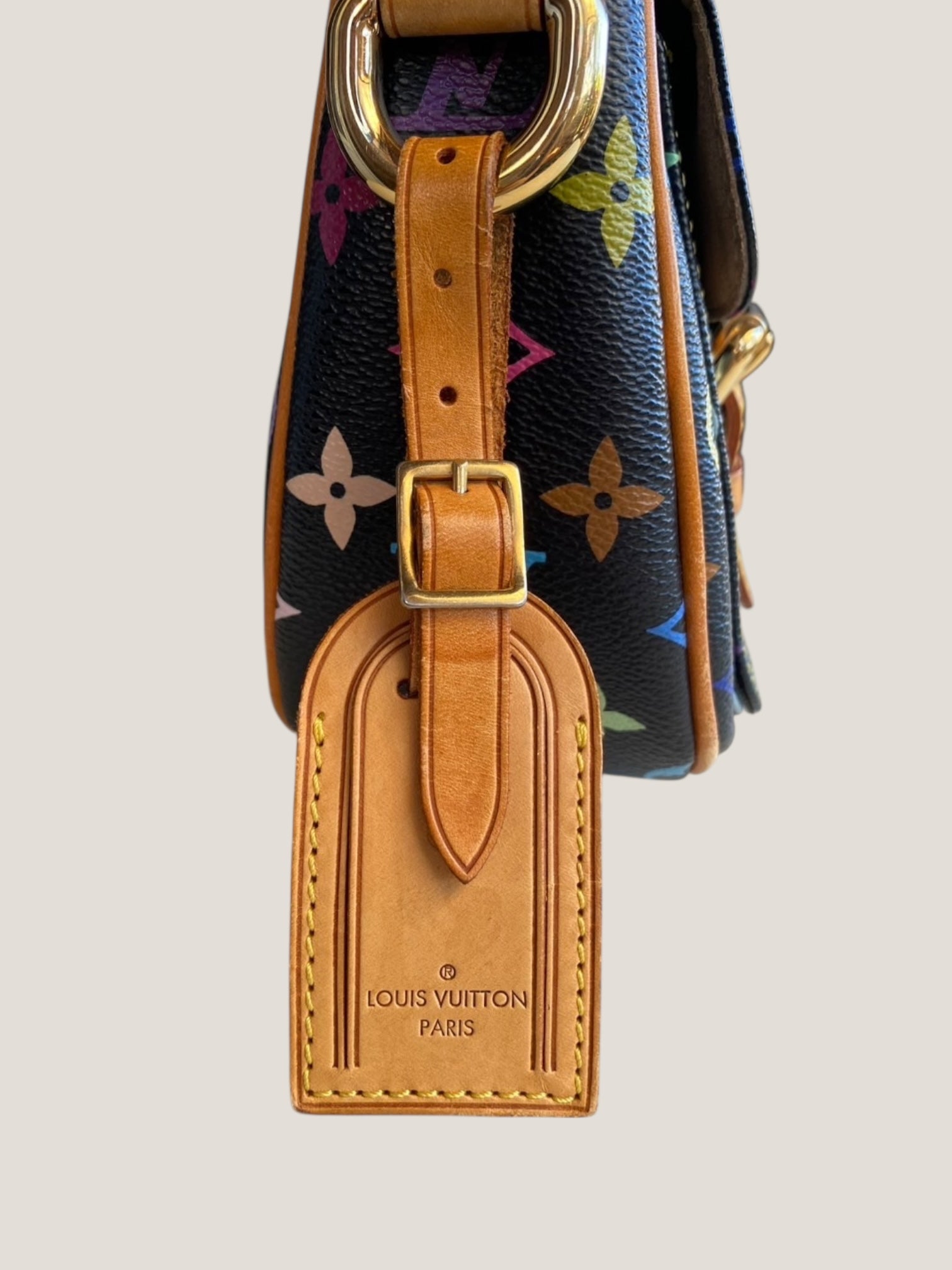 LV LODGE PM MONOGRAM MULTICOLOR