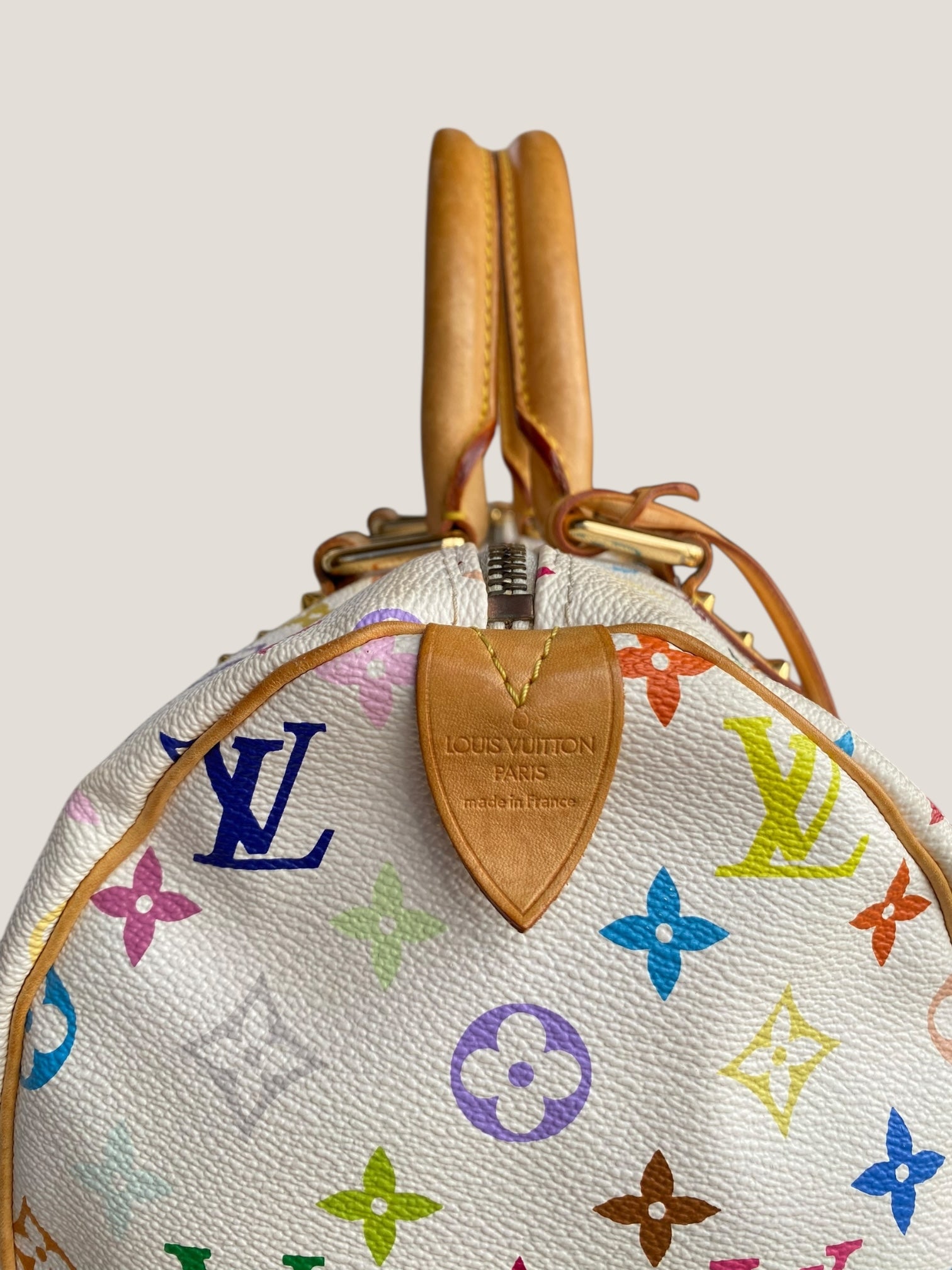Louis Vuitton Speedy 30 Multicolor