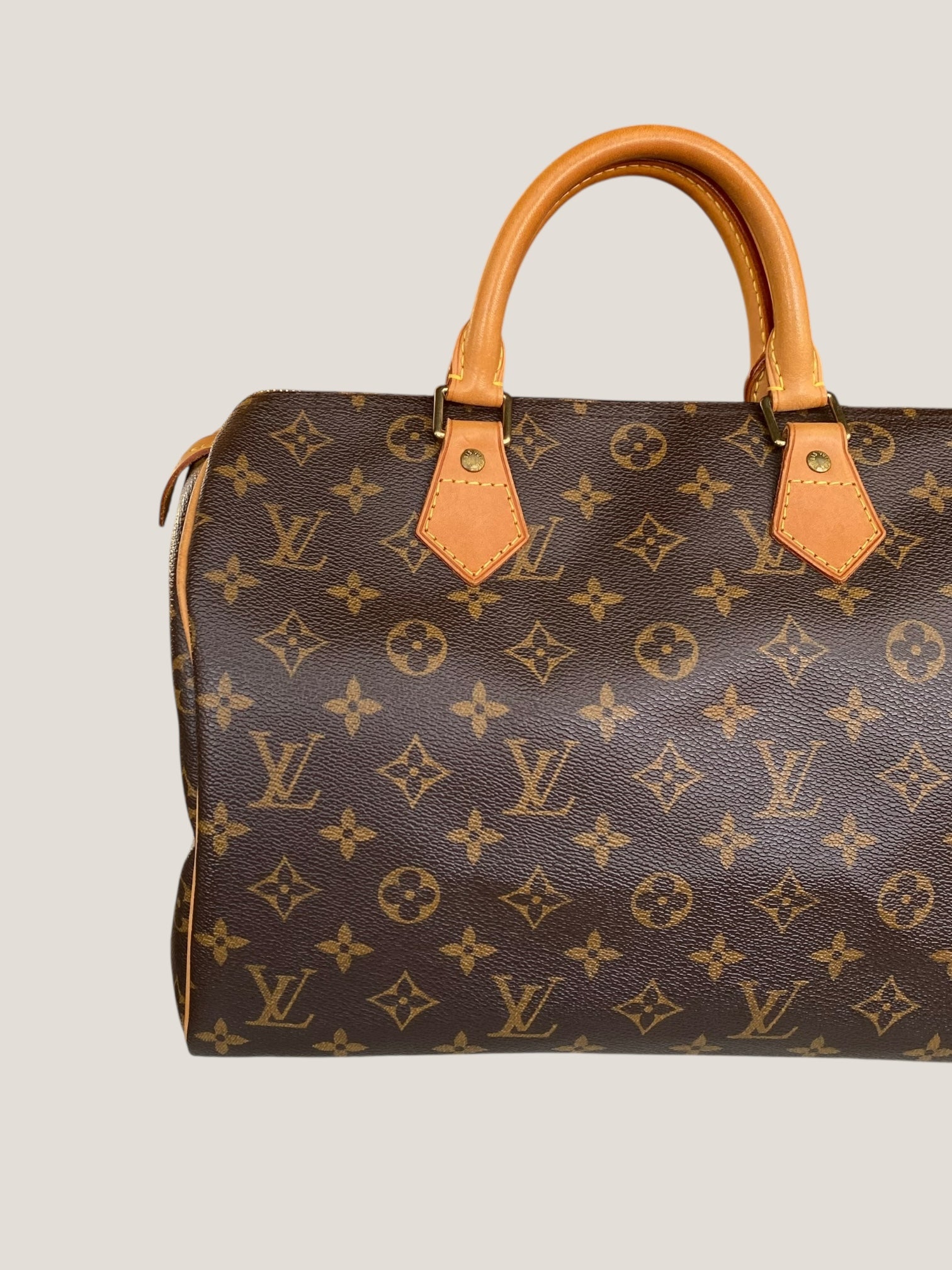 Louis Vuitton Speedy 30 in tela Monogram