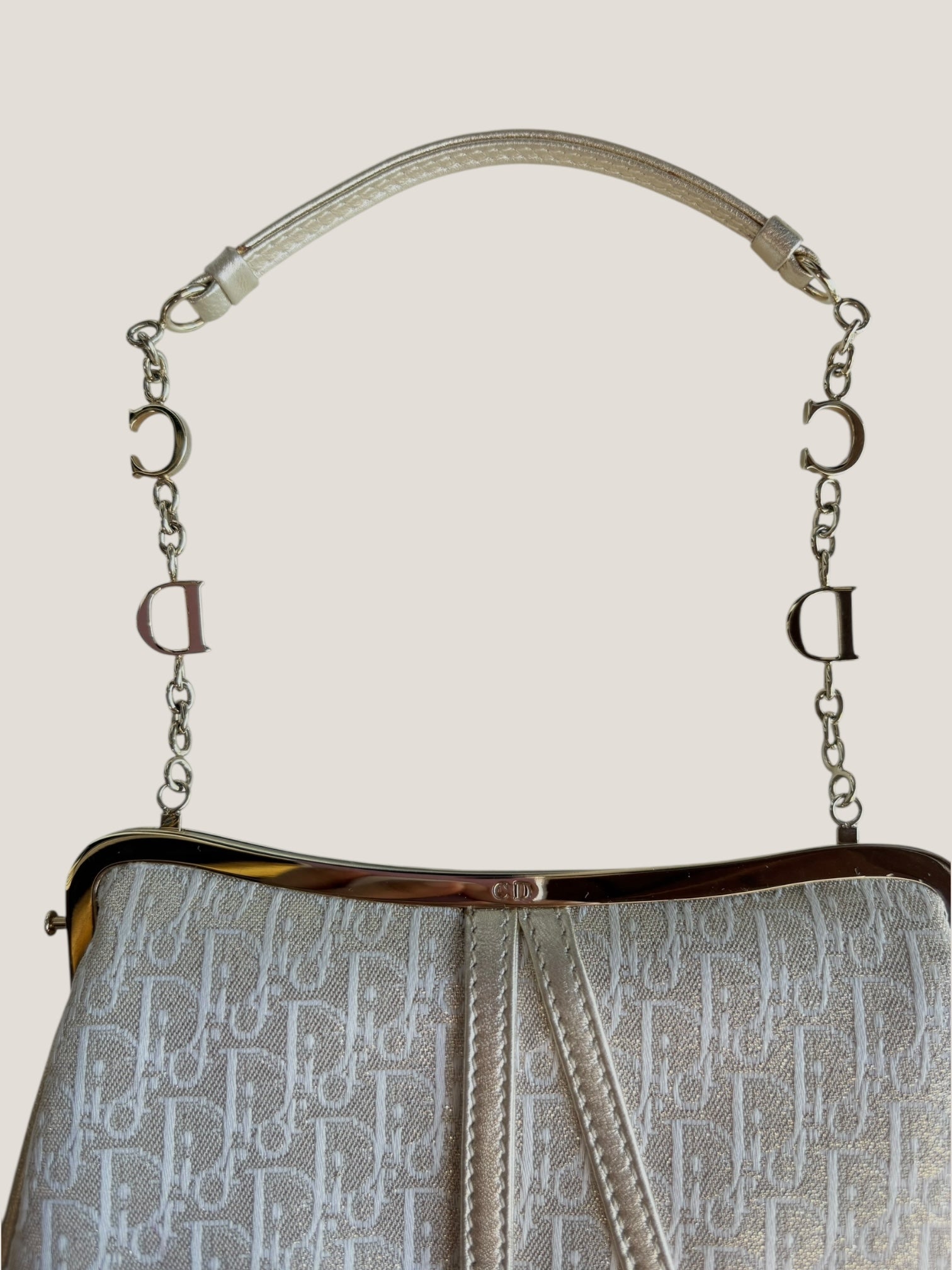 Christian Dior Mini Saddle