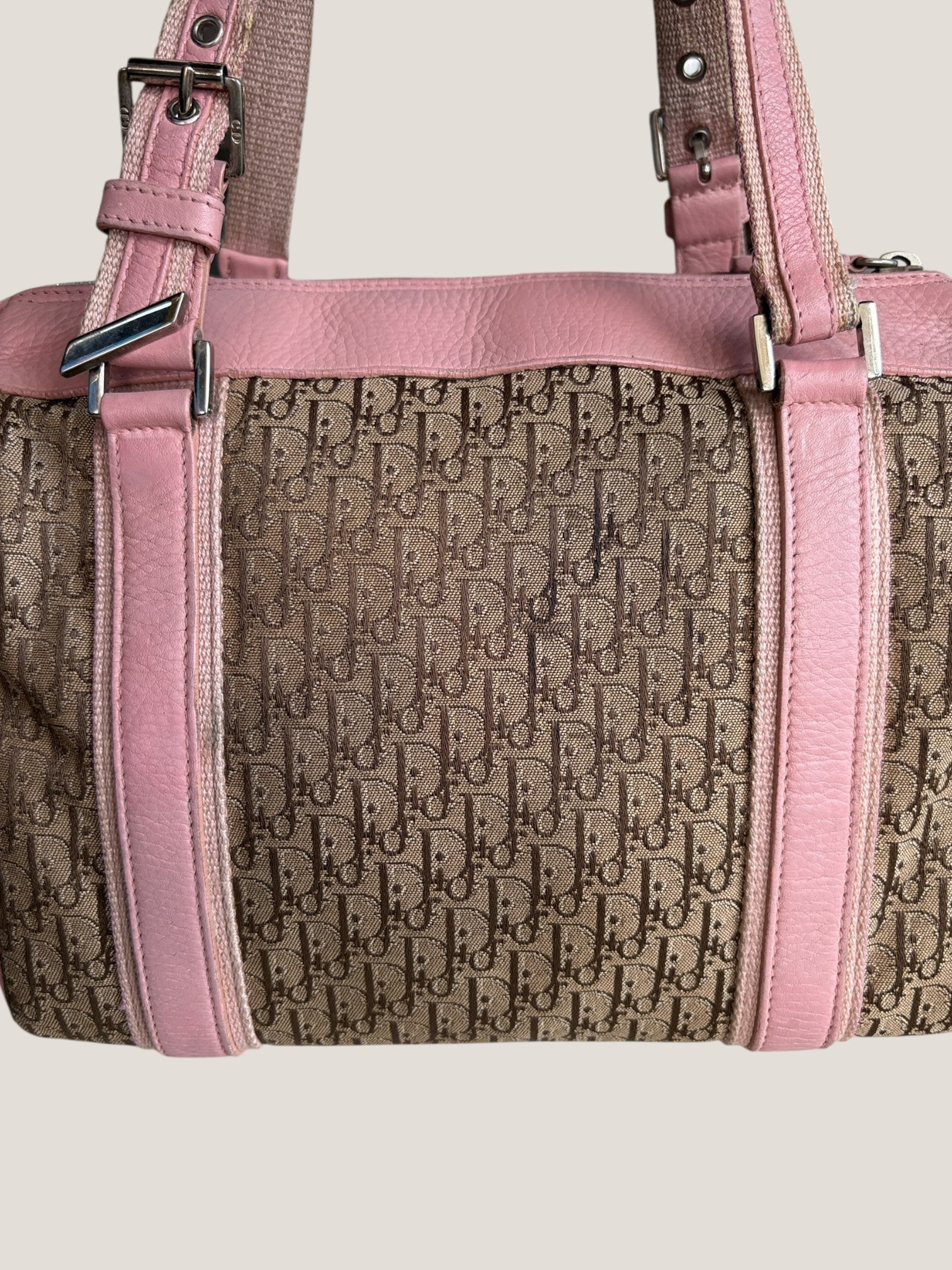 Dior Bauletto Oblique Rosa