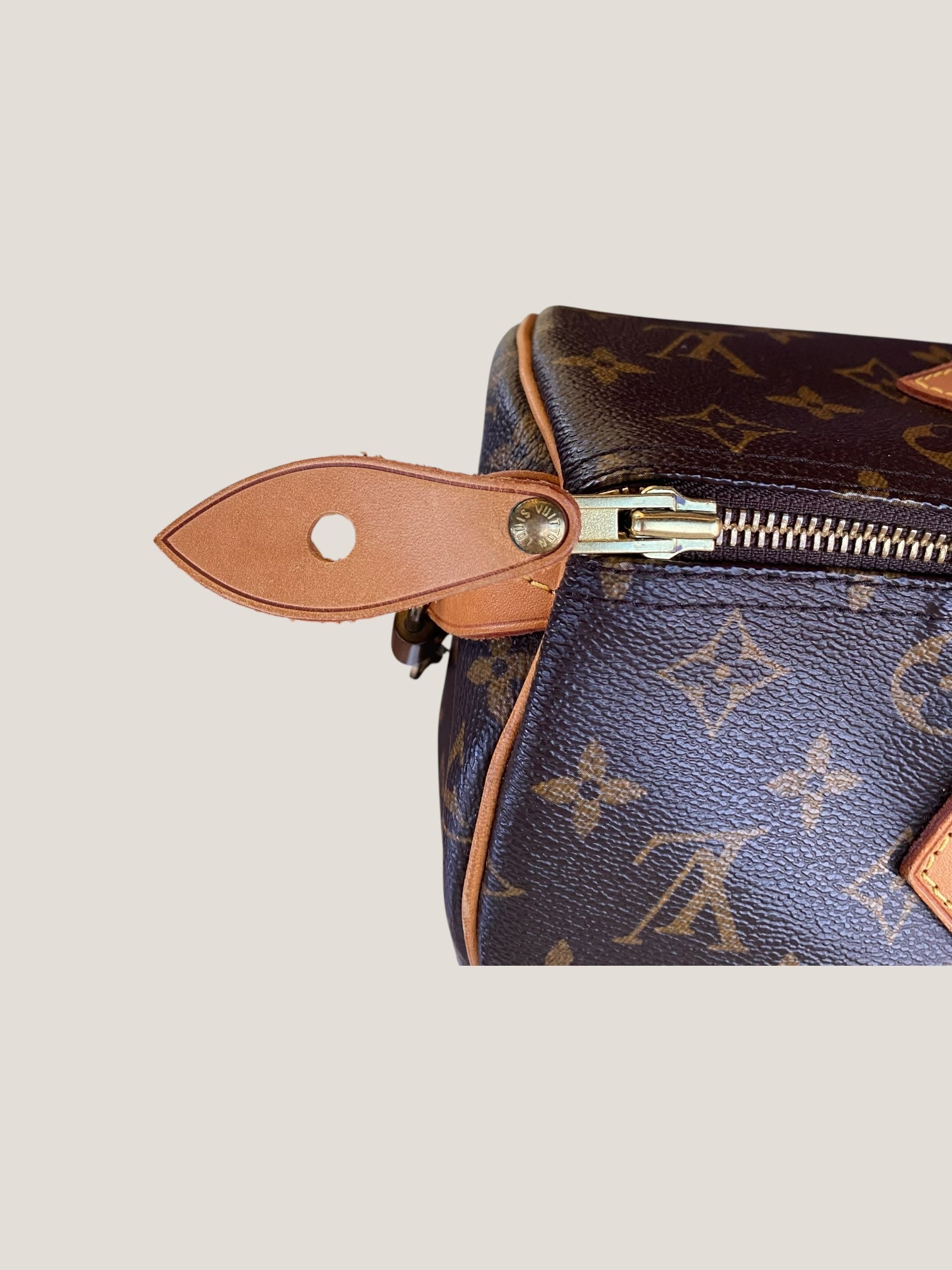 Louis Vuitton Speedy 30 in tela Monogram