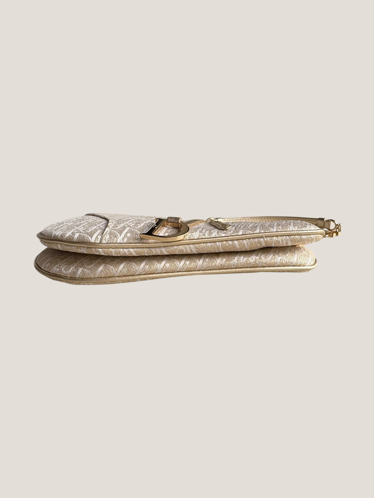 Christian Dior Mini Saddle