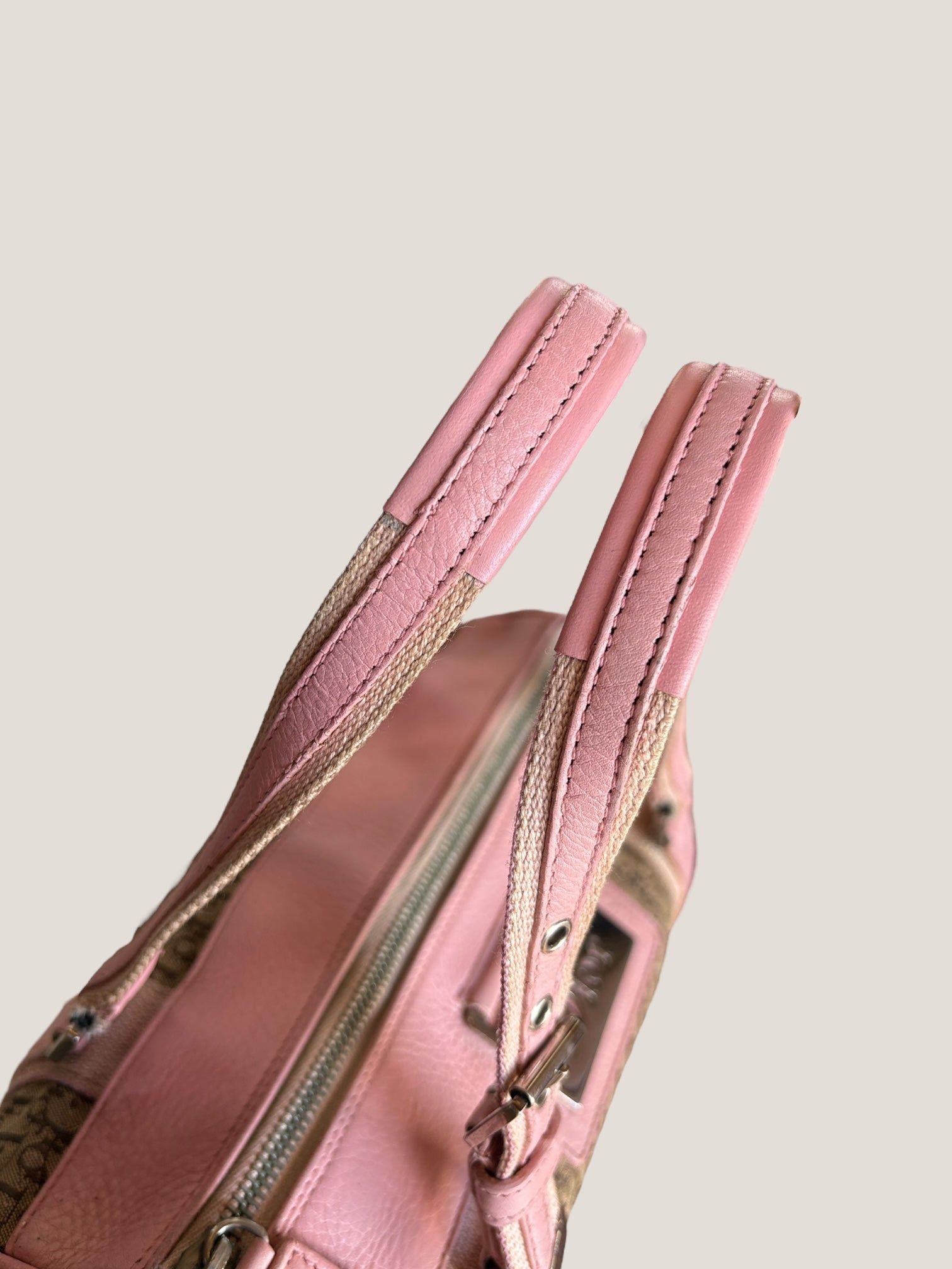 Dior Bauletto Oblique Rosa