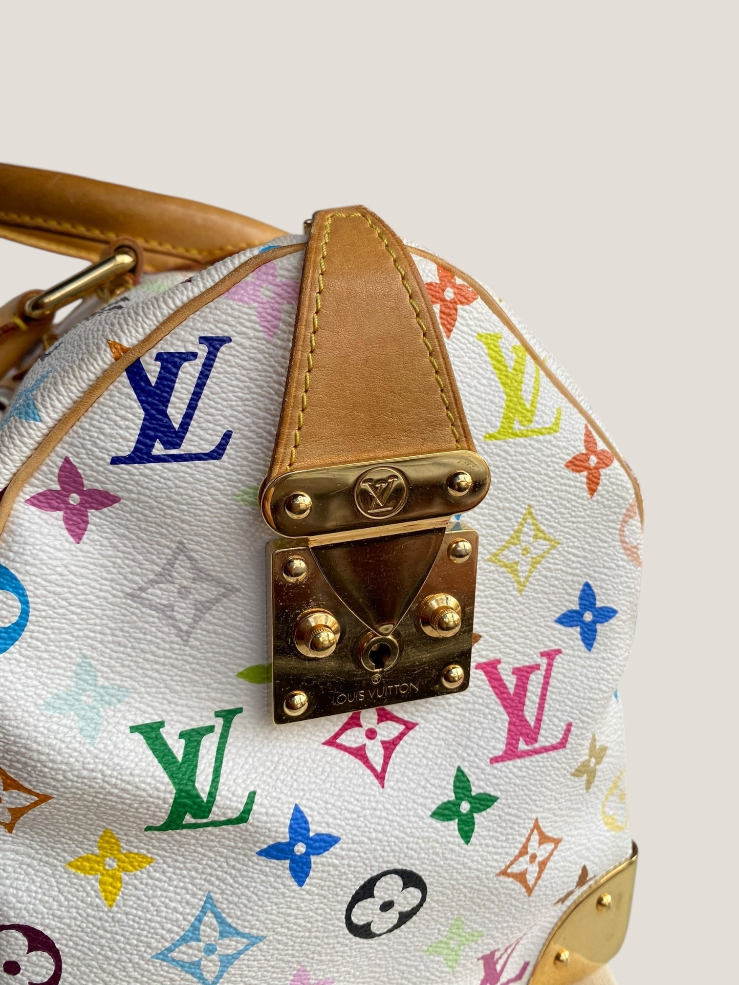 Louis Vuitton Speedy 30 Multicolor