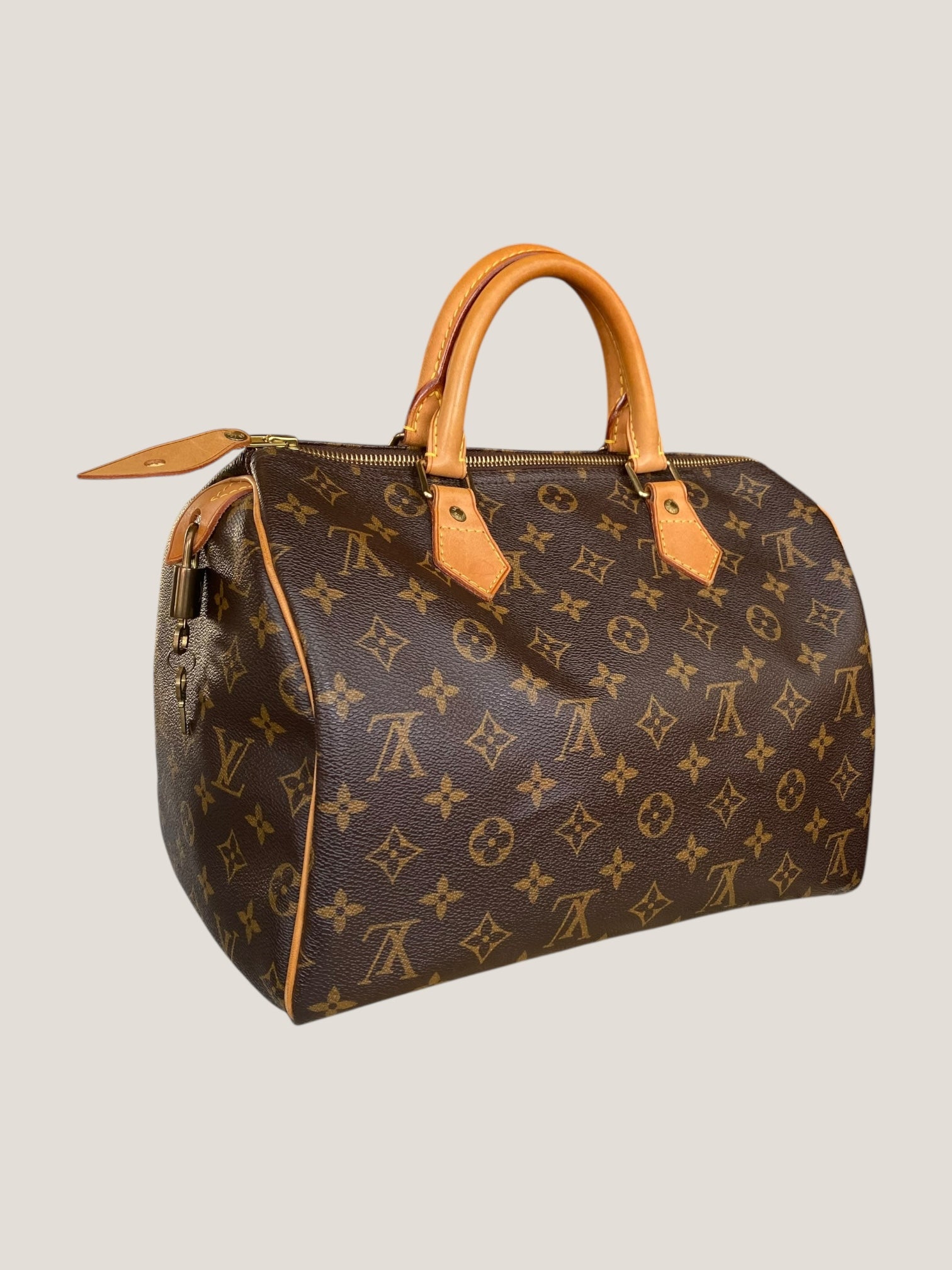 Louis Vuitton Speedy 30 in tela Monogram