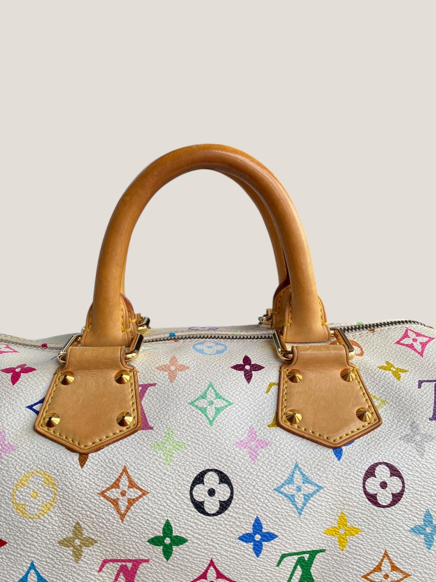 Louis Vuitton Speedy 30 Multicolor