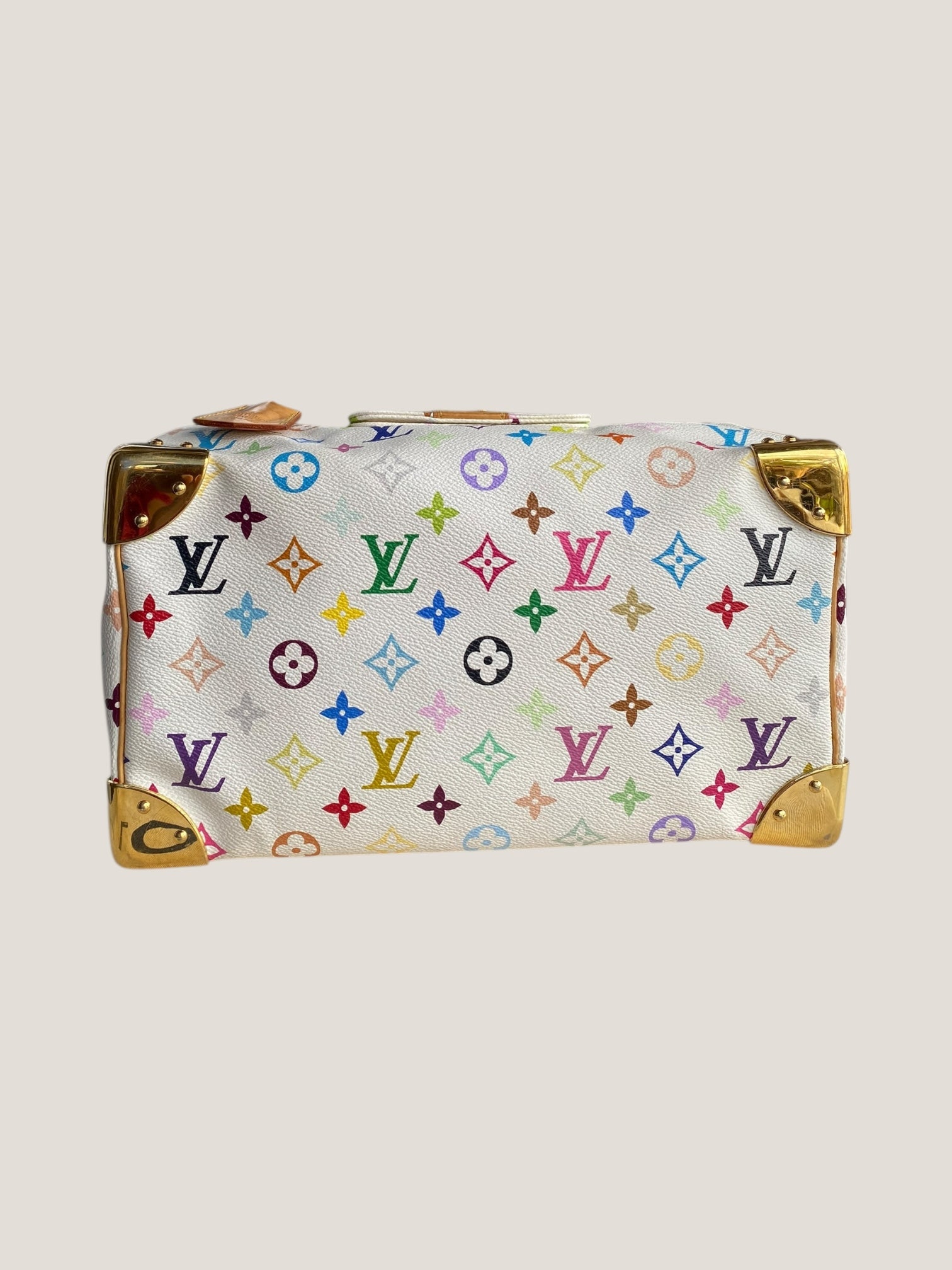 Louis Vuitton Speedy 30 Multicolor