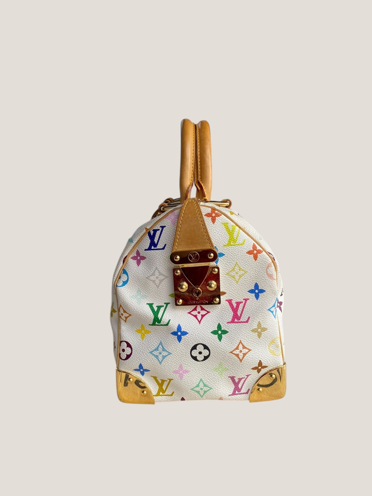 Louis Vuitton Speedy 30 Multicolor