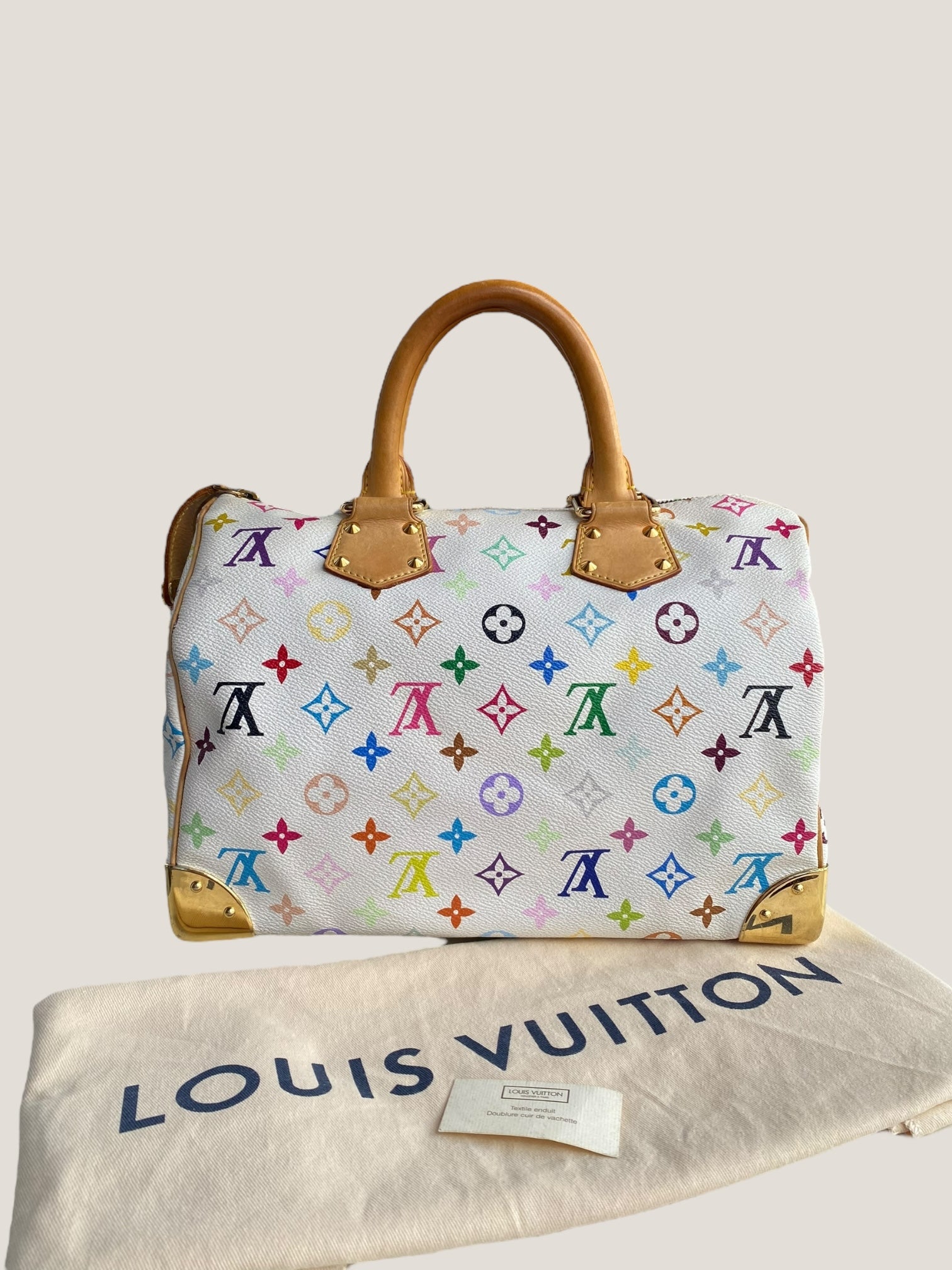 Louis Vuitton Speedy 30 Multicolor