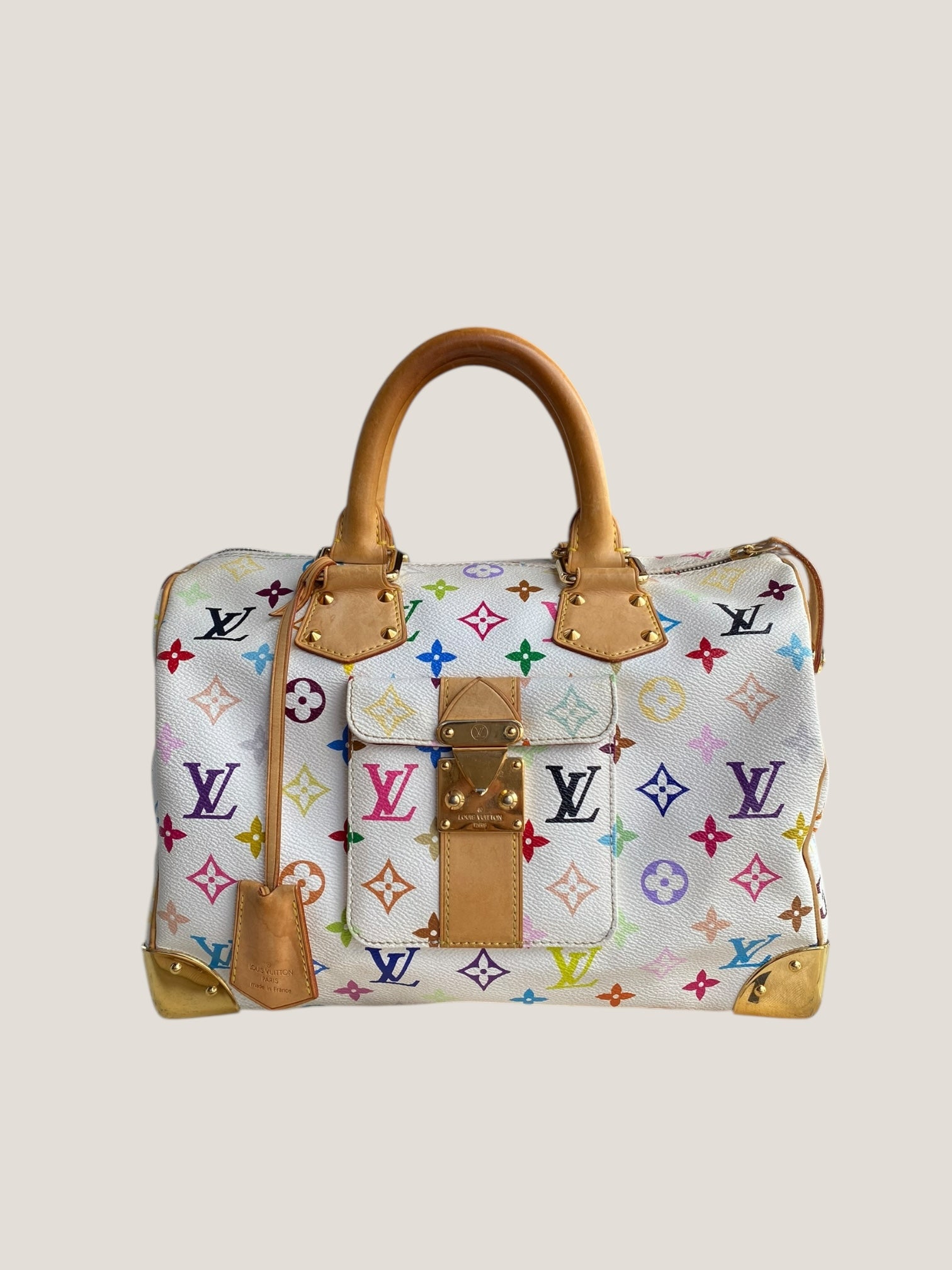 Louis Vuitton Speedy 30 Multicolor