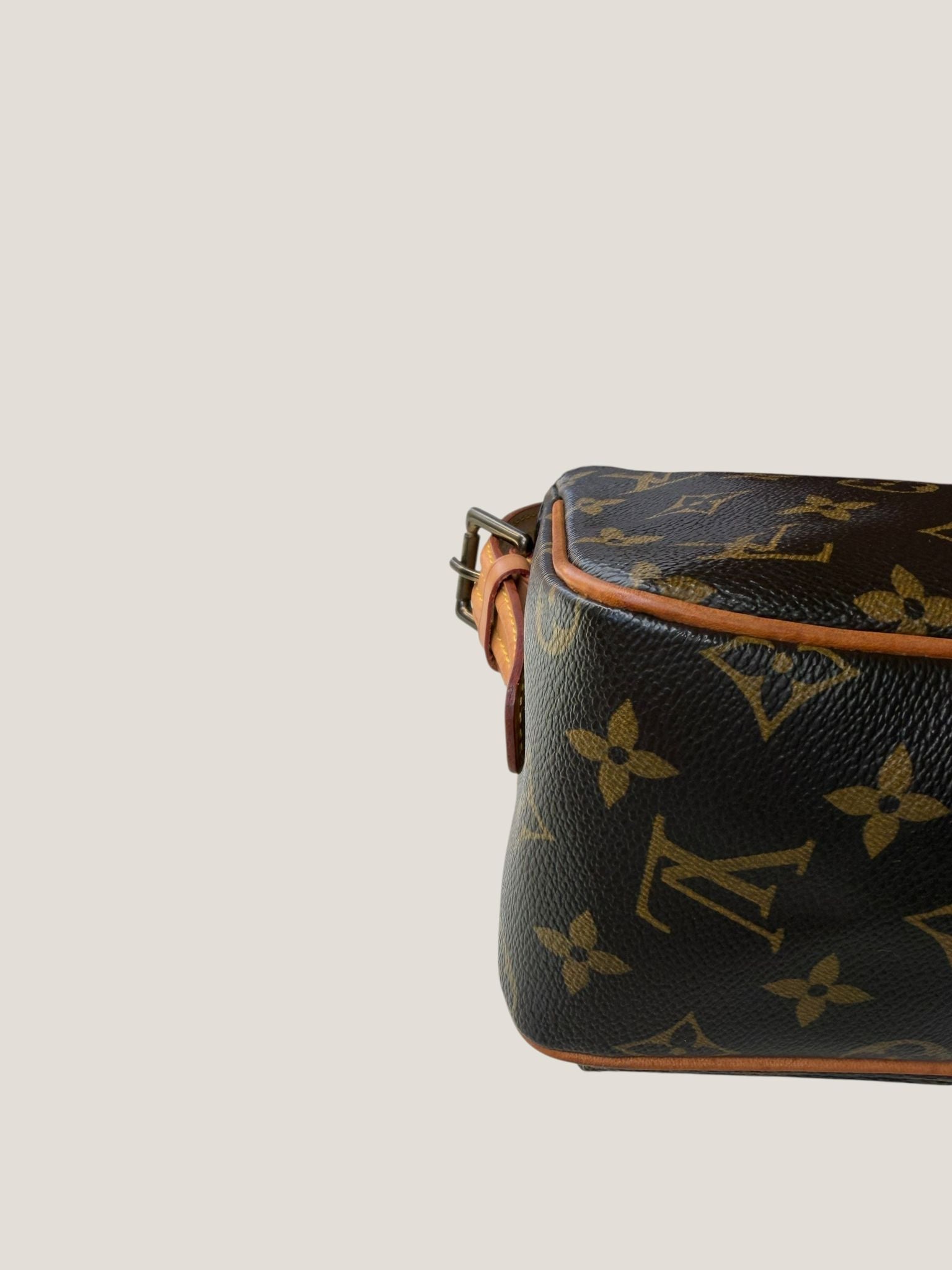 Louis Vuitton Viva Cite PM