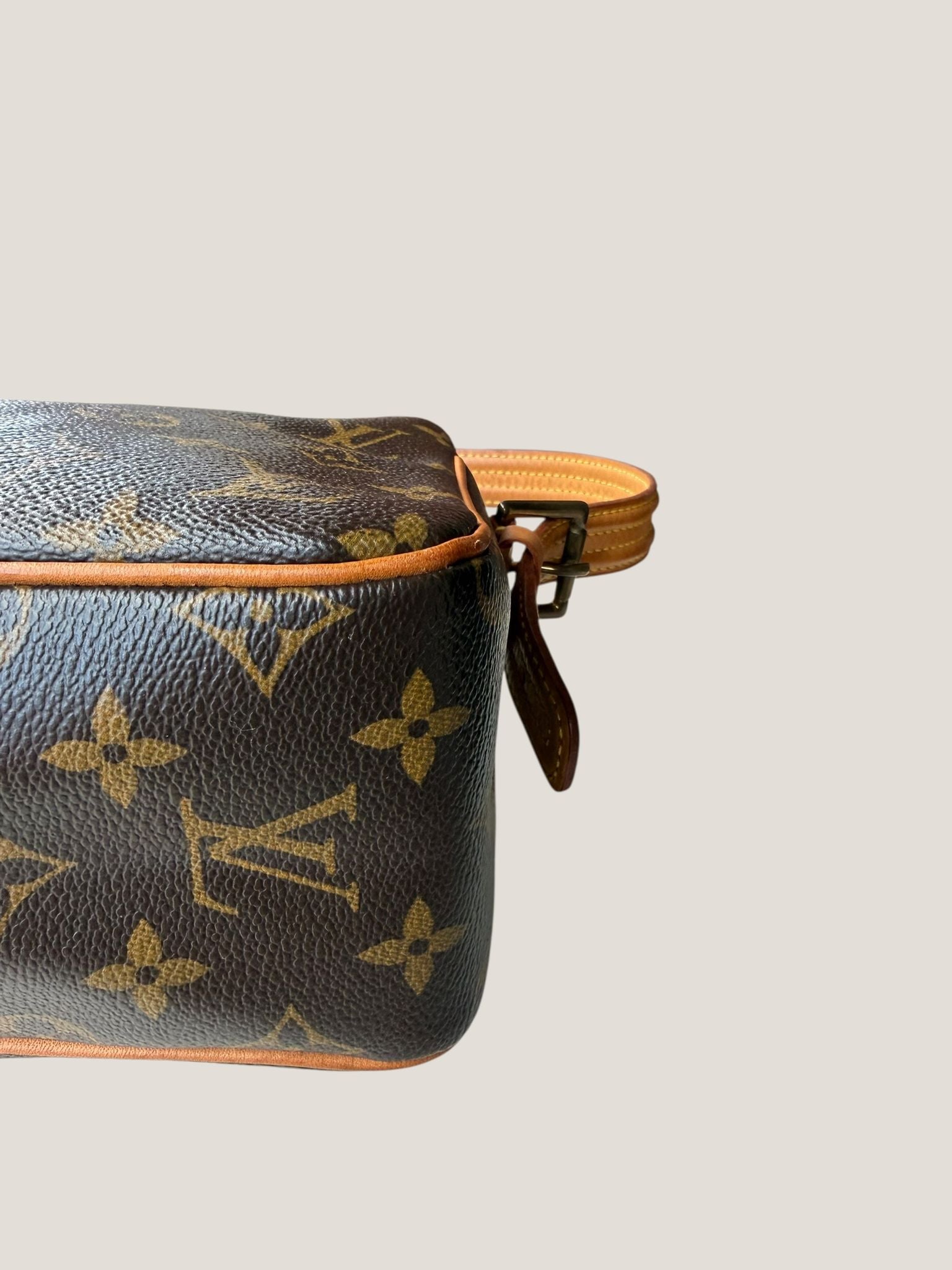 Louis Vuitton Viva Cite PM