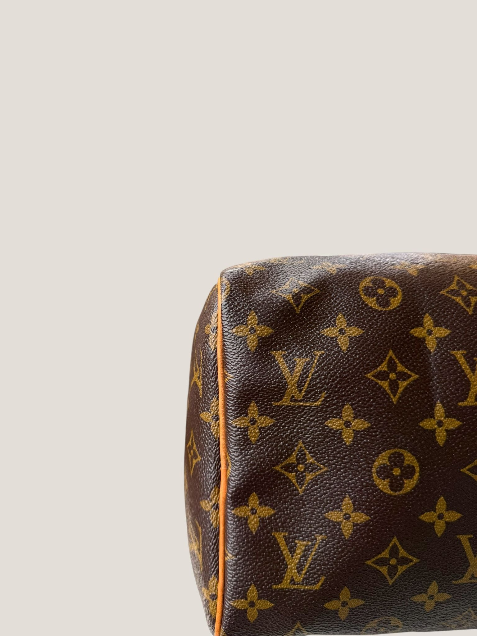 Louis Vuitton Speedy 30 Monogram