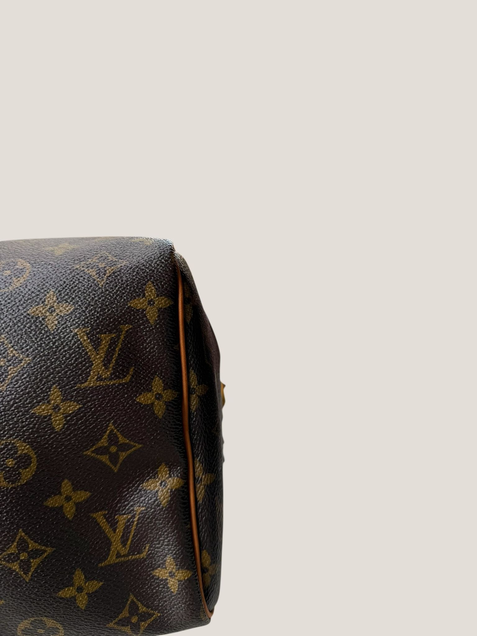 Louis Vuitton Speedy 30 Monogram