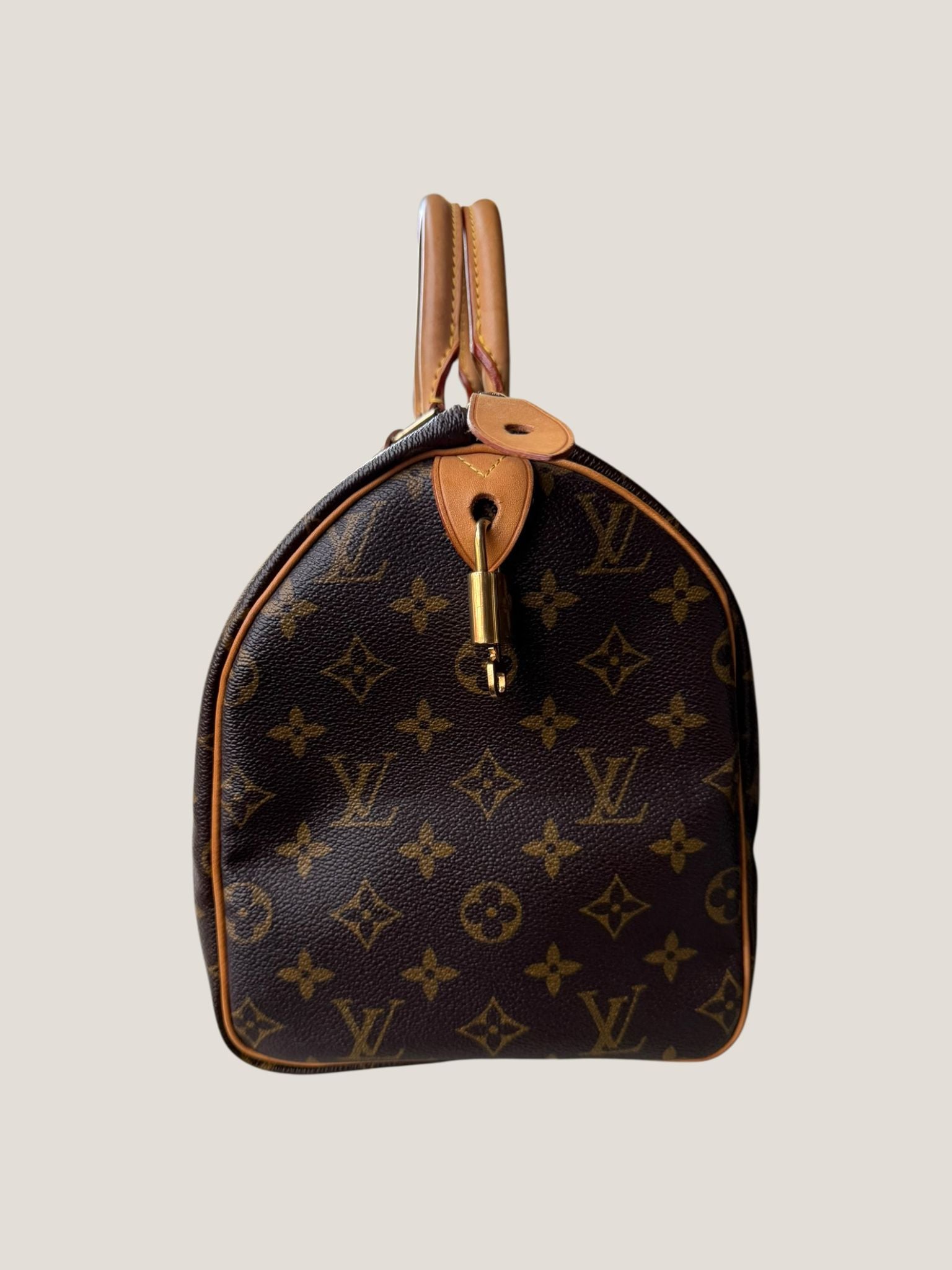 Louis Vuitton Speedy 30 Monogram