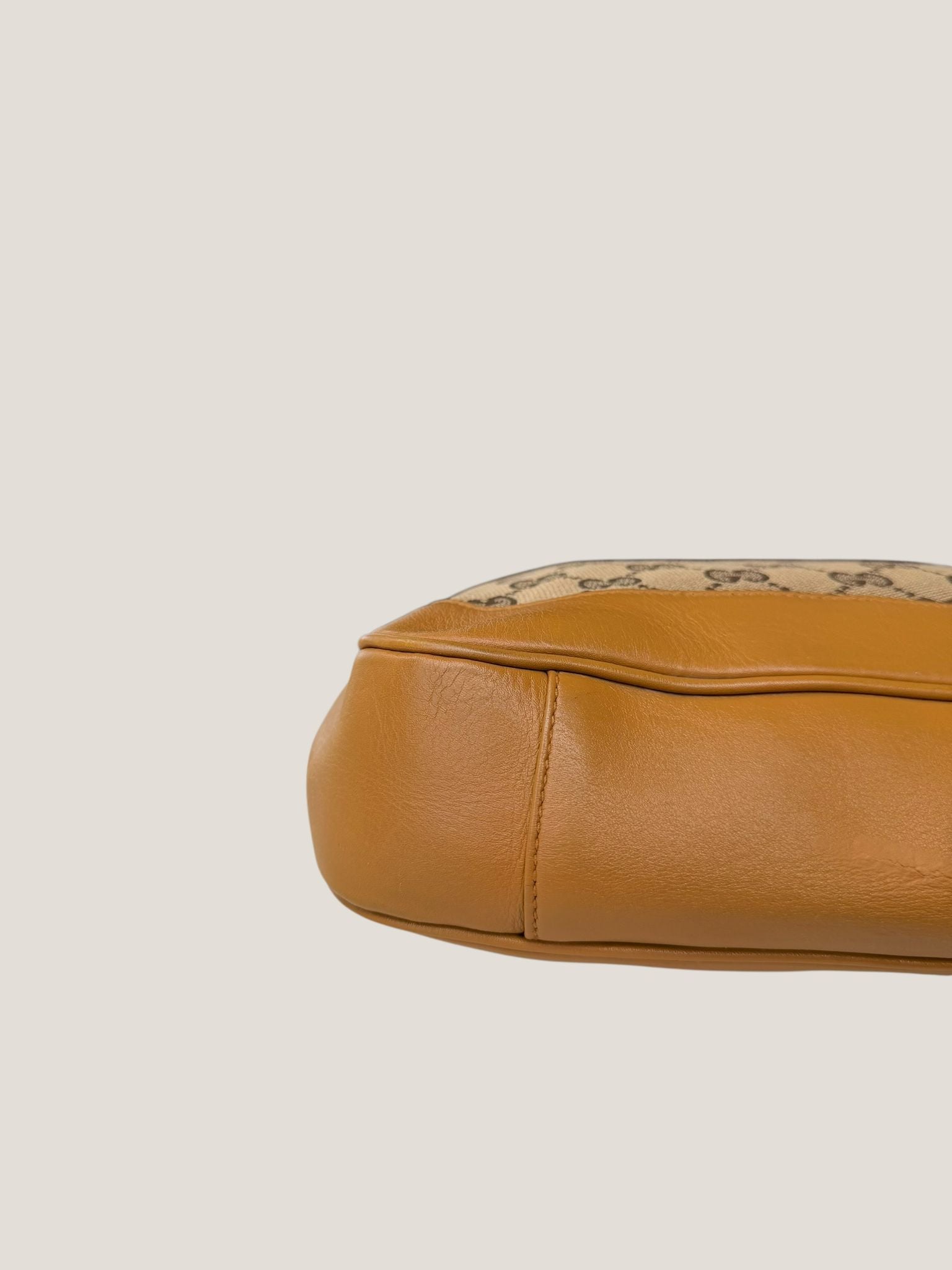 Gucci bamboo GG canvas