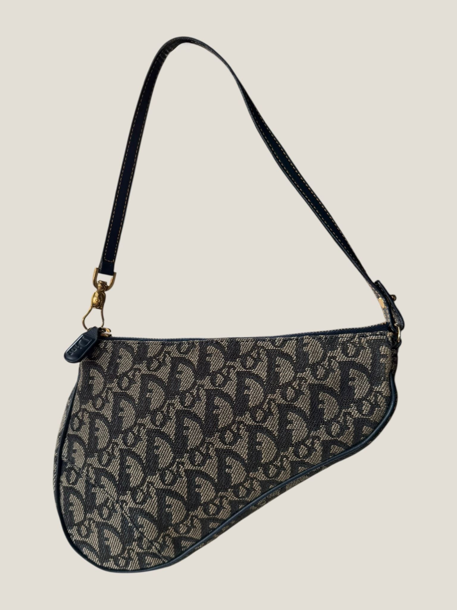 Dior Saddle Mini Trotter