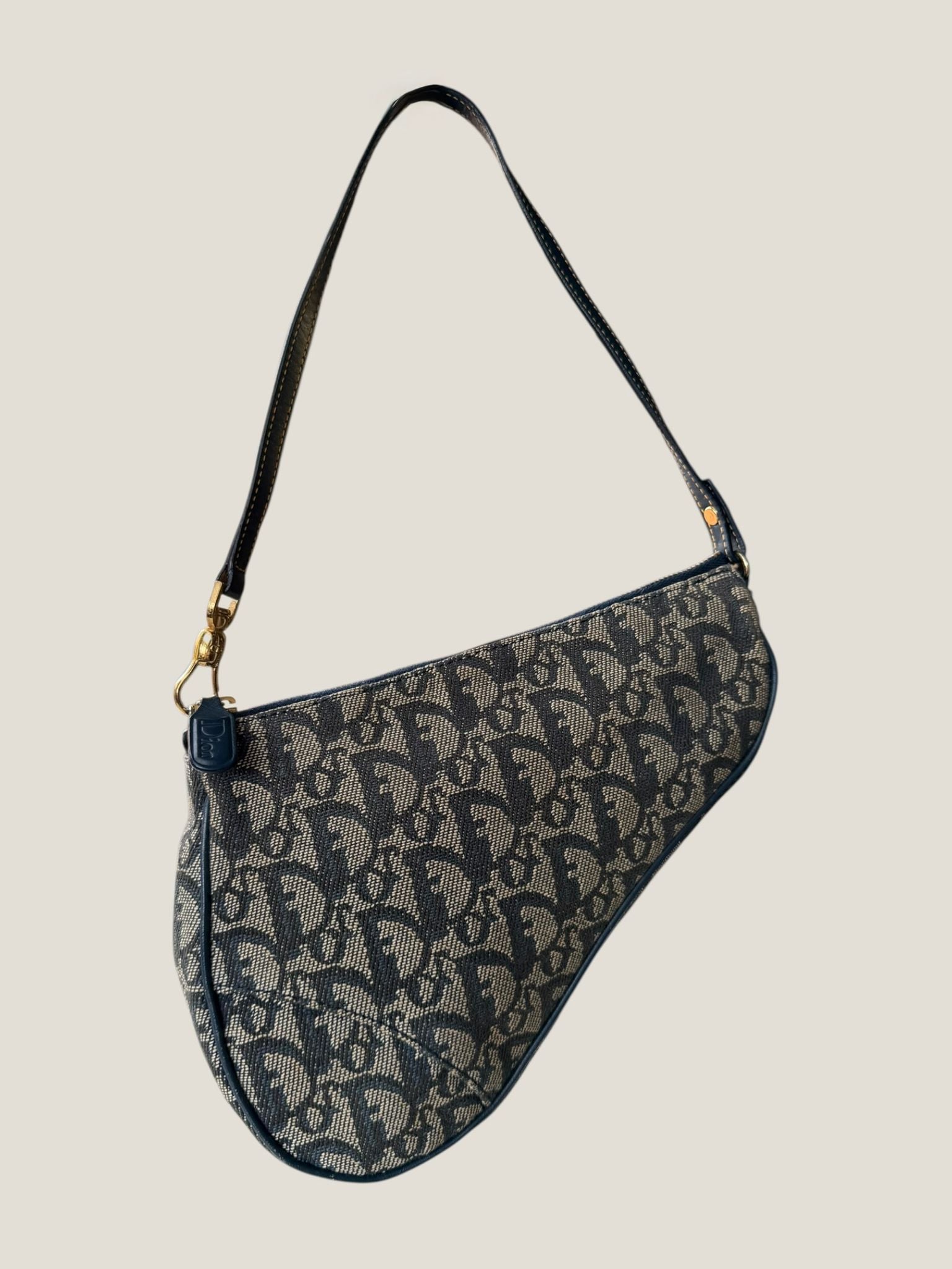 Dior Saddle Mini Trotter