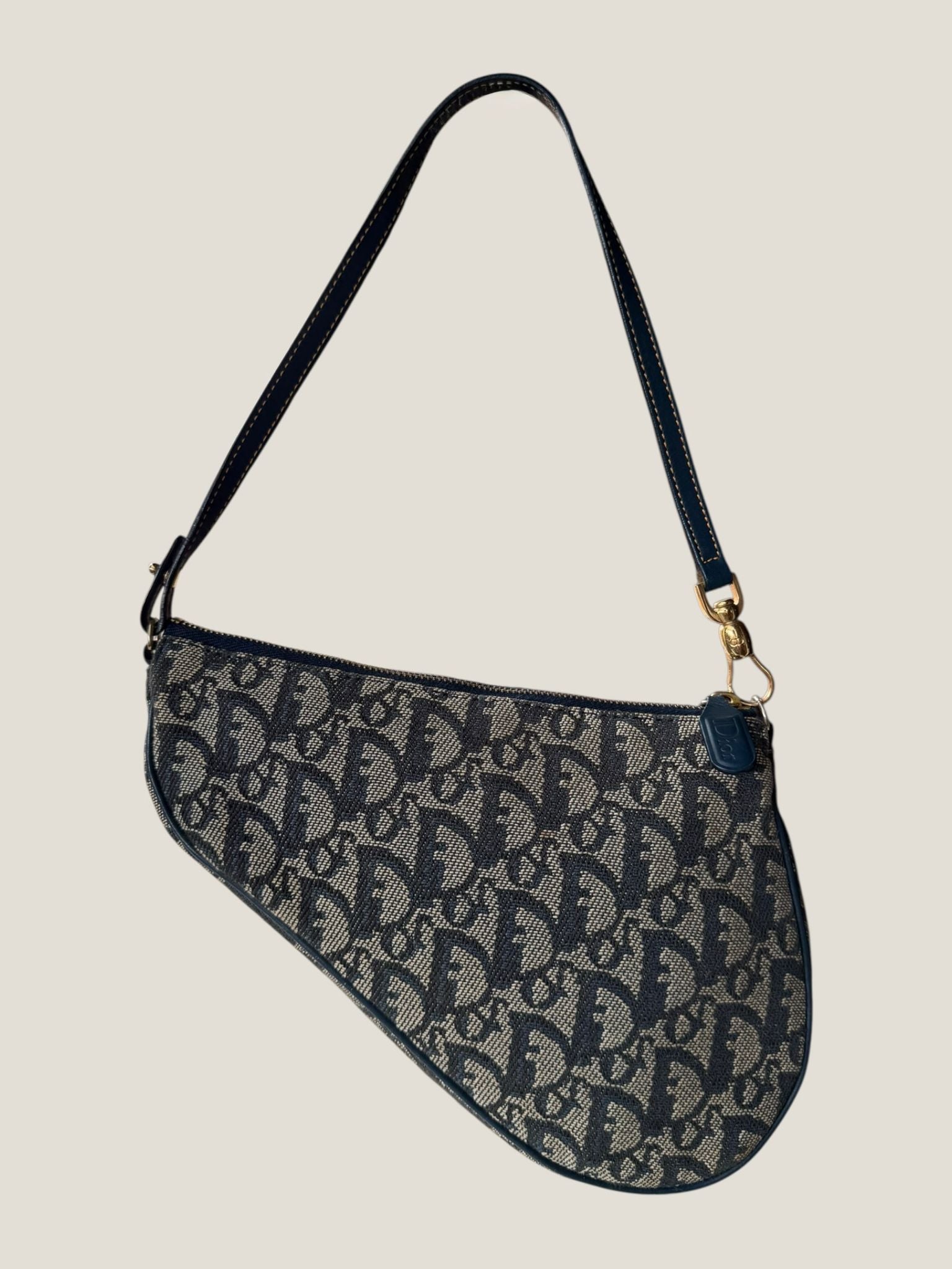Dior Saddle Mini Trotter
