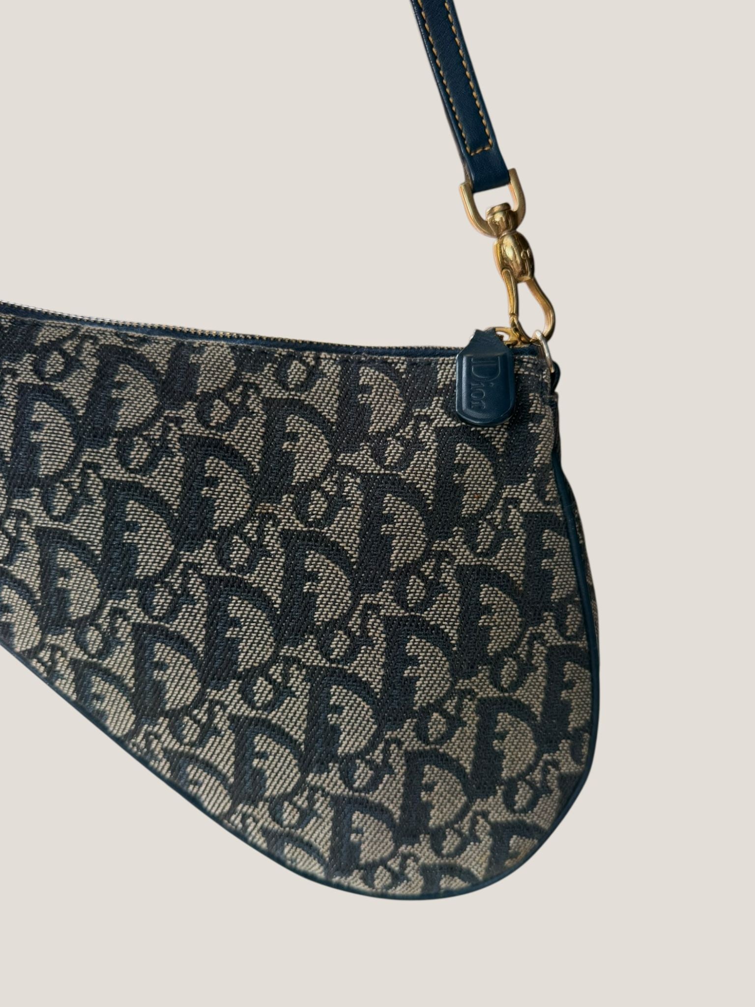 Dior Saddle Mini Trotter