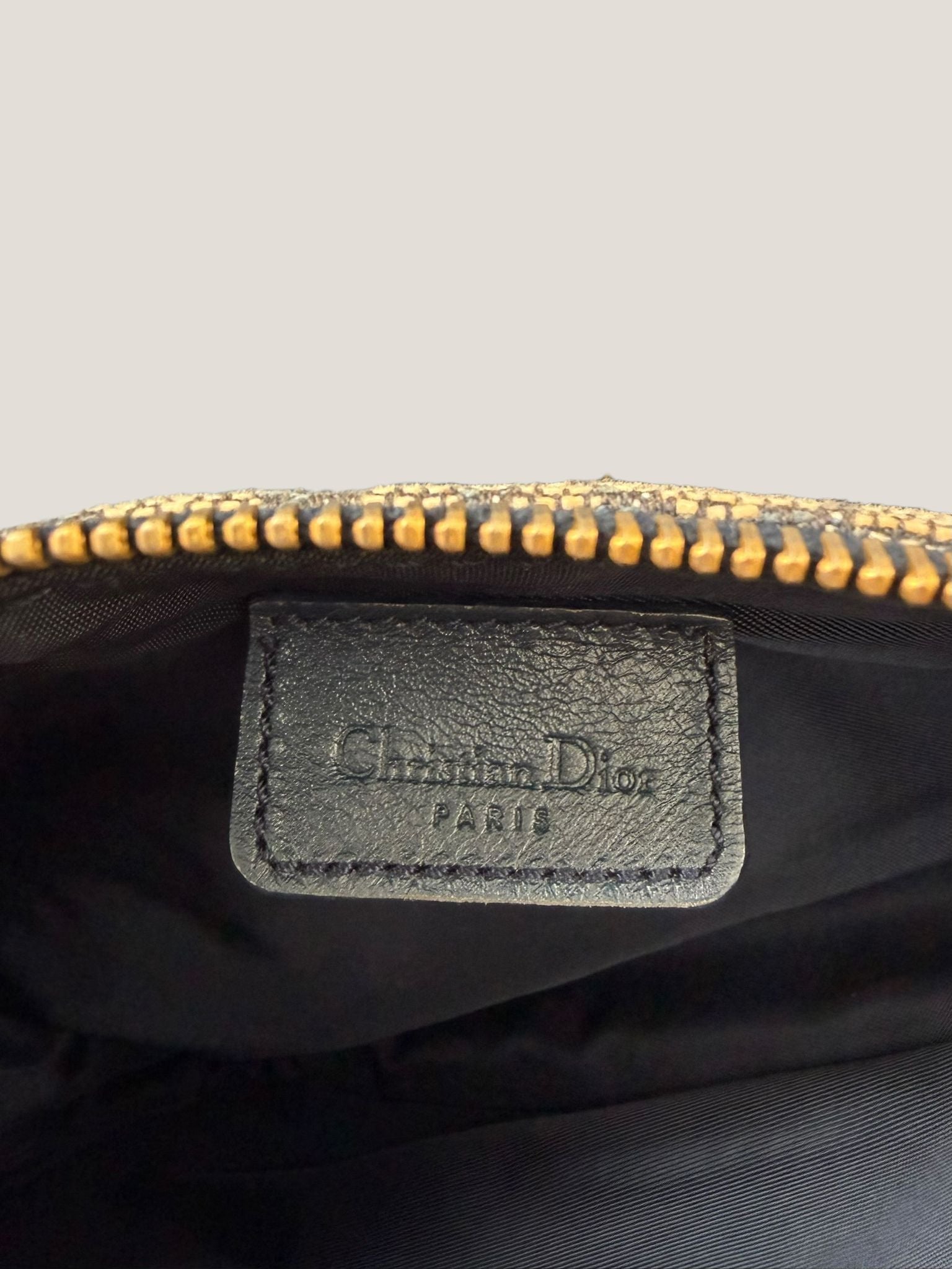 Dior Saddle Mini Trotter