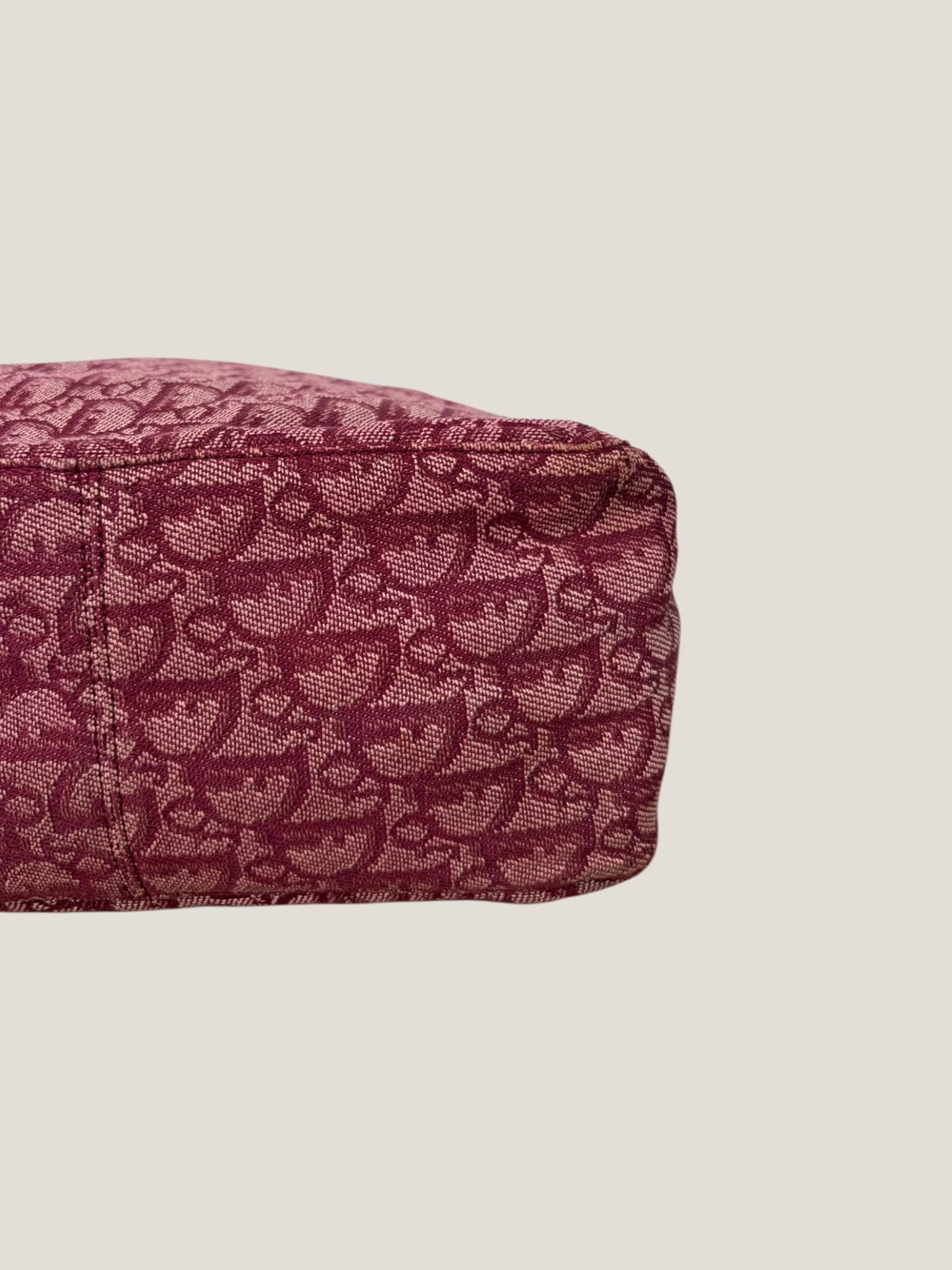 Christian Dior Oblique Tote