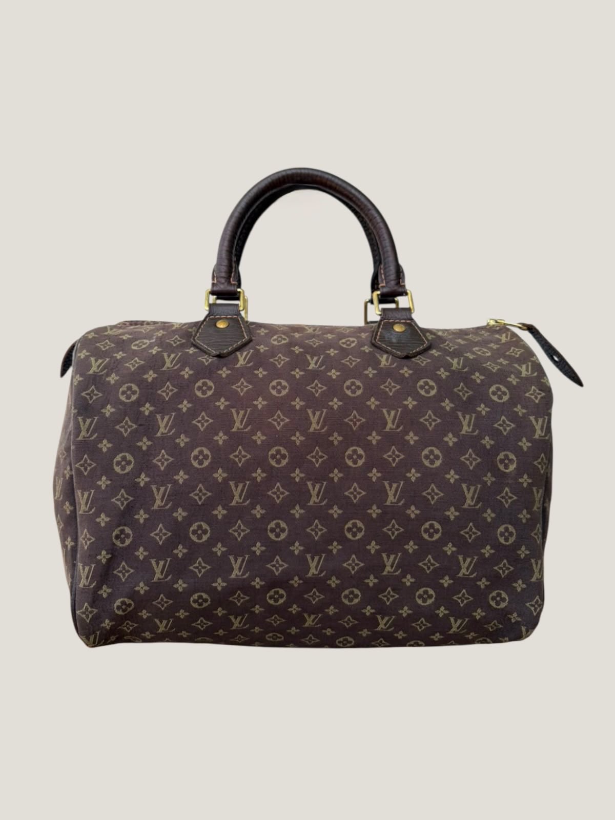 Louis Vuitton Mini Lin Speedy 30