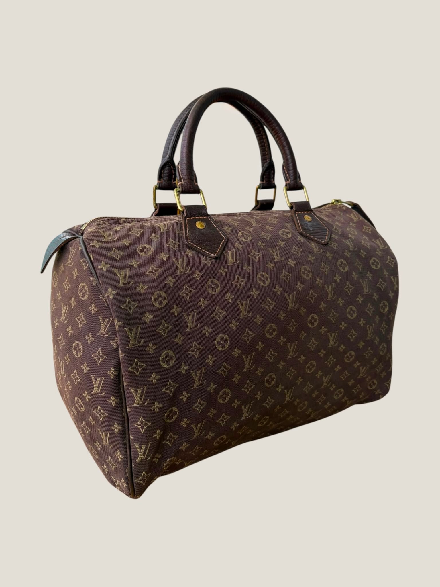 Louis Vuitton Mini Lin Speedy 30