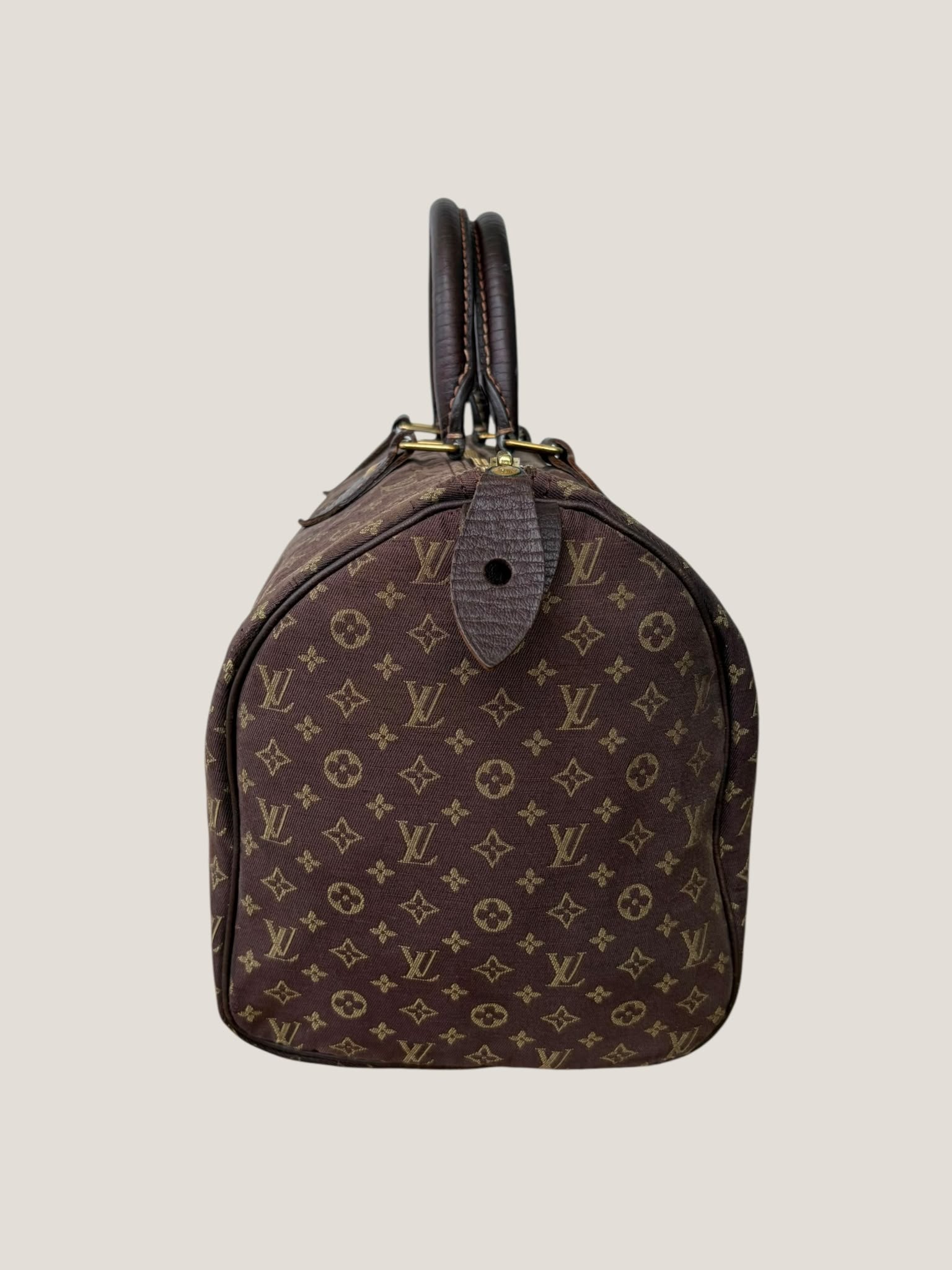 Louis Vuitton Mini Lin Speedy 30