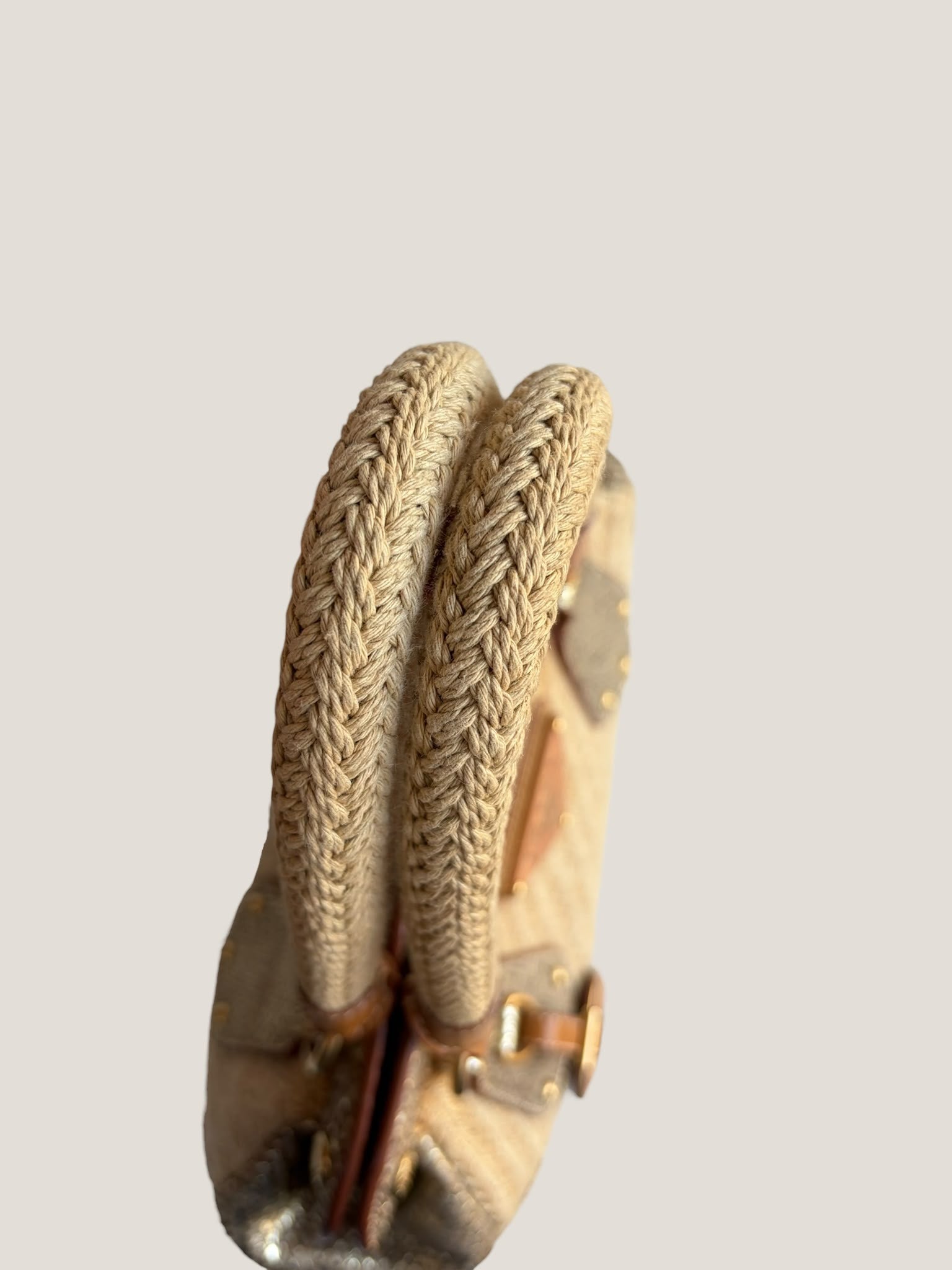 Prada Raffia e Pitone