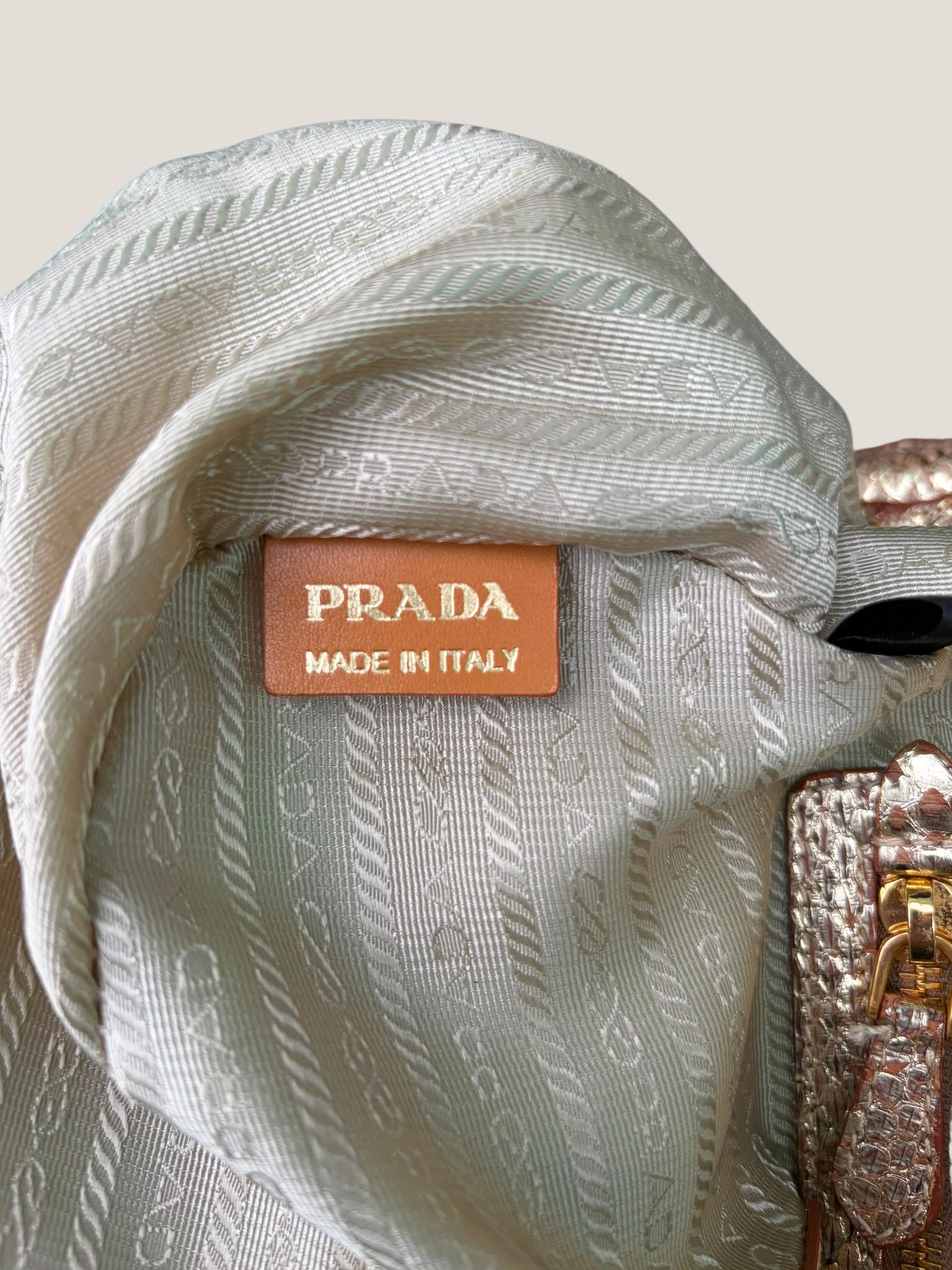 Prada Raffia e Pitone
