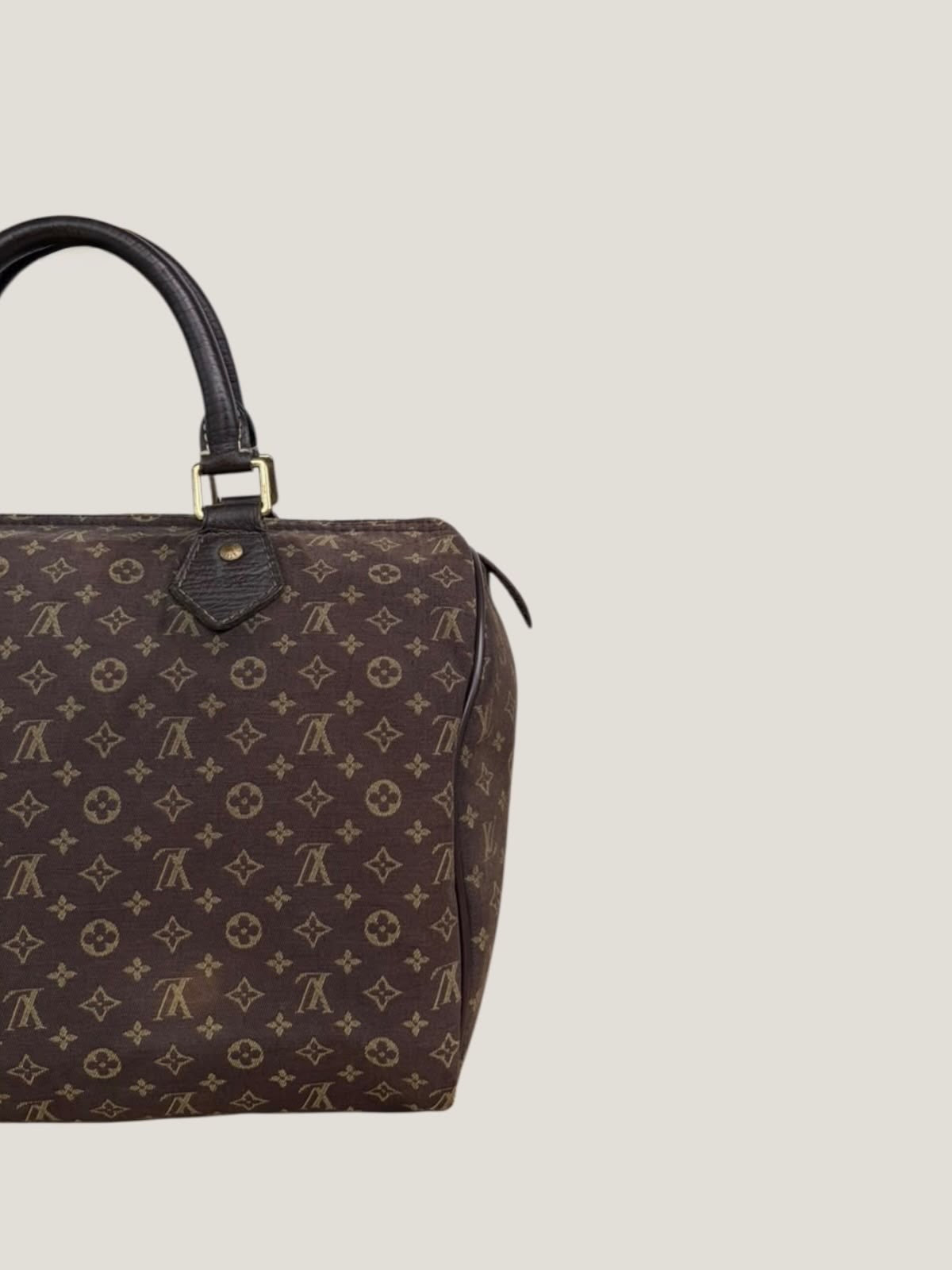 Louis Vuitton Speedy 30 Mini Lin