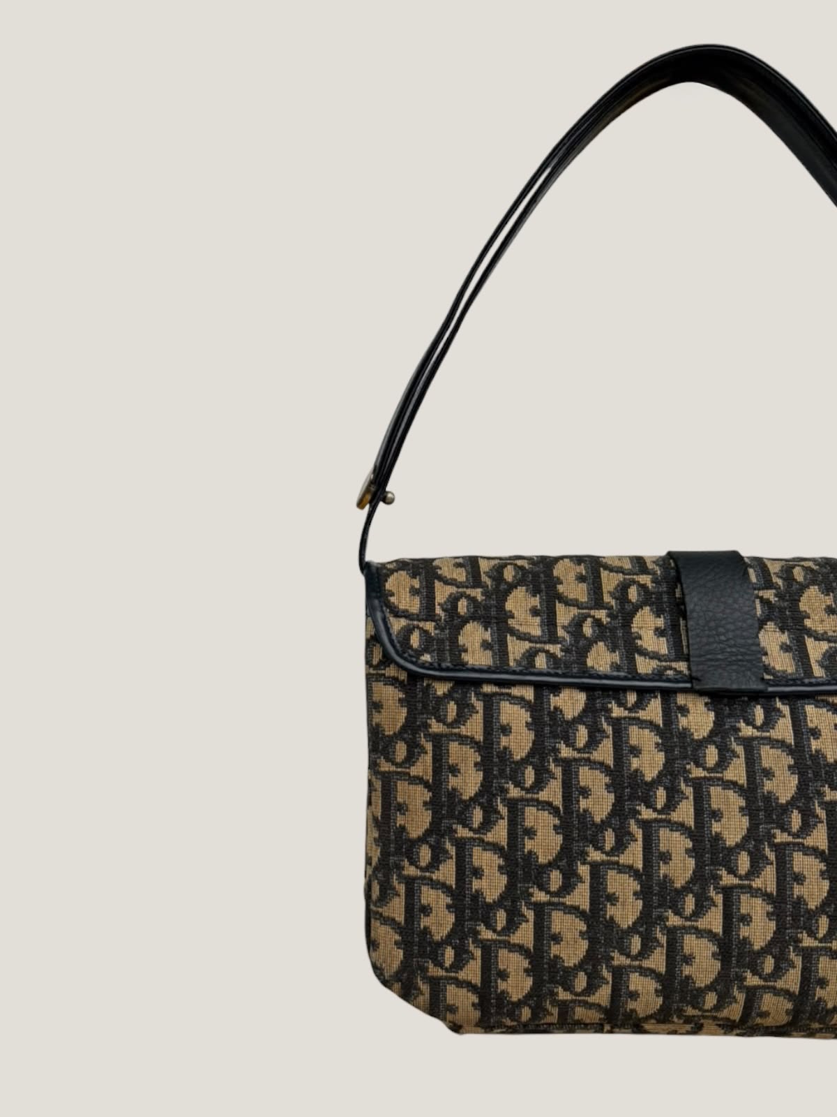 Dior Oblique Flap Bag