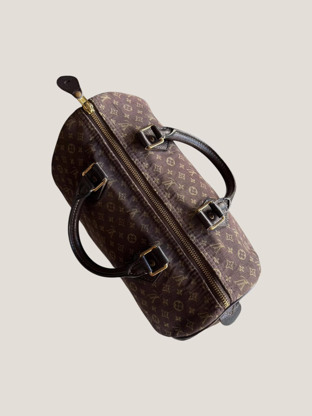 Louis Vuitton Speedy 30 Mini Lin