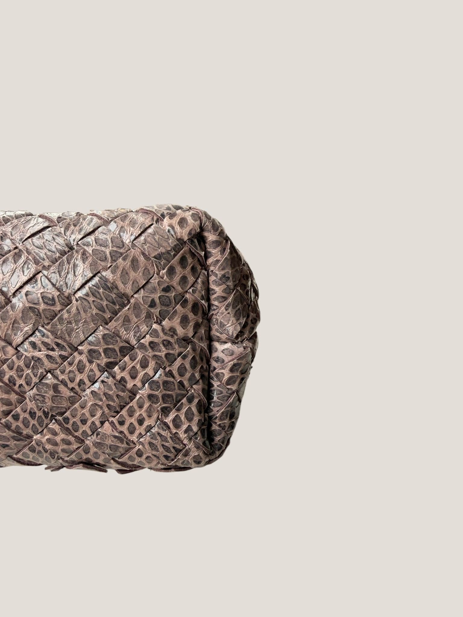 Bottega Veneta Intrecciato Serpente