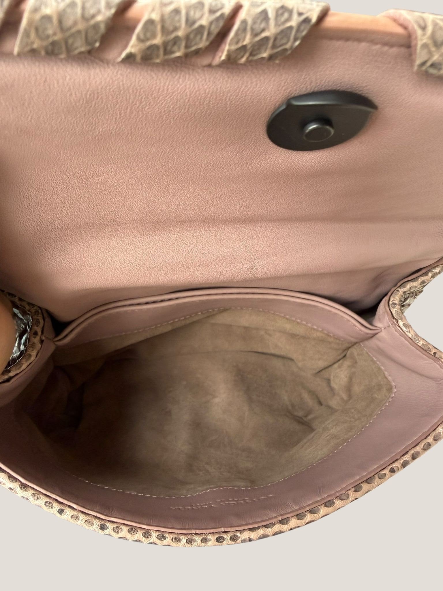 Bottega Veneta Intrecciato Serpente