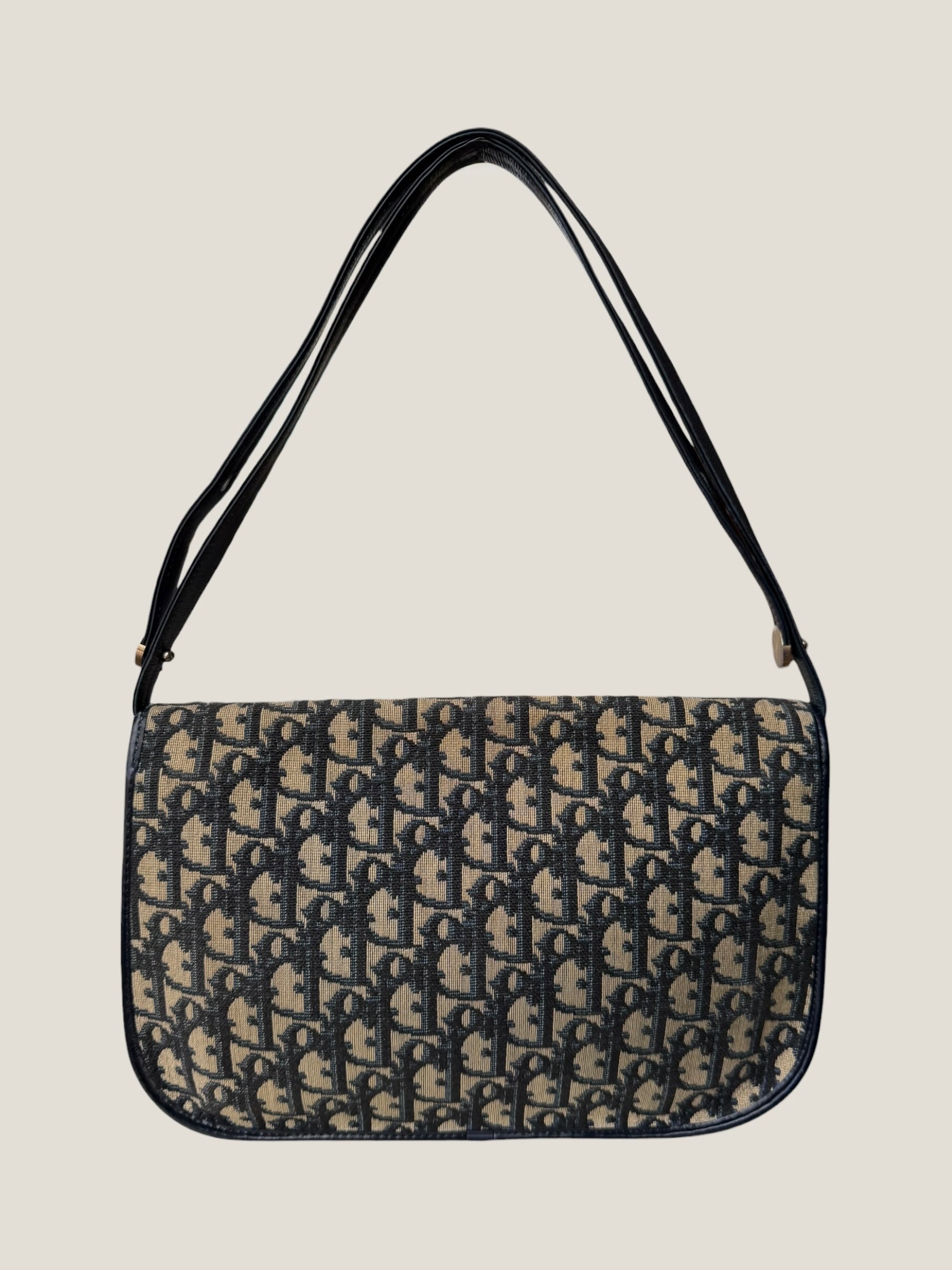 Christian Dior Trotter bag