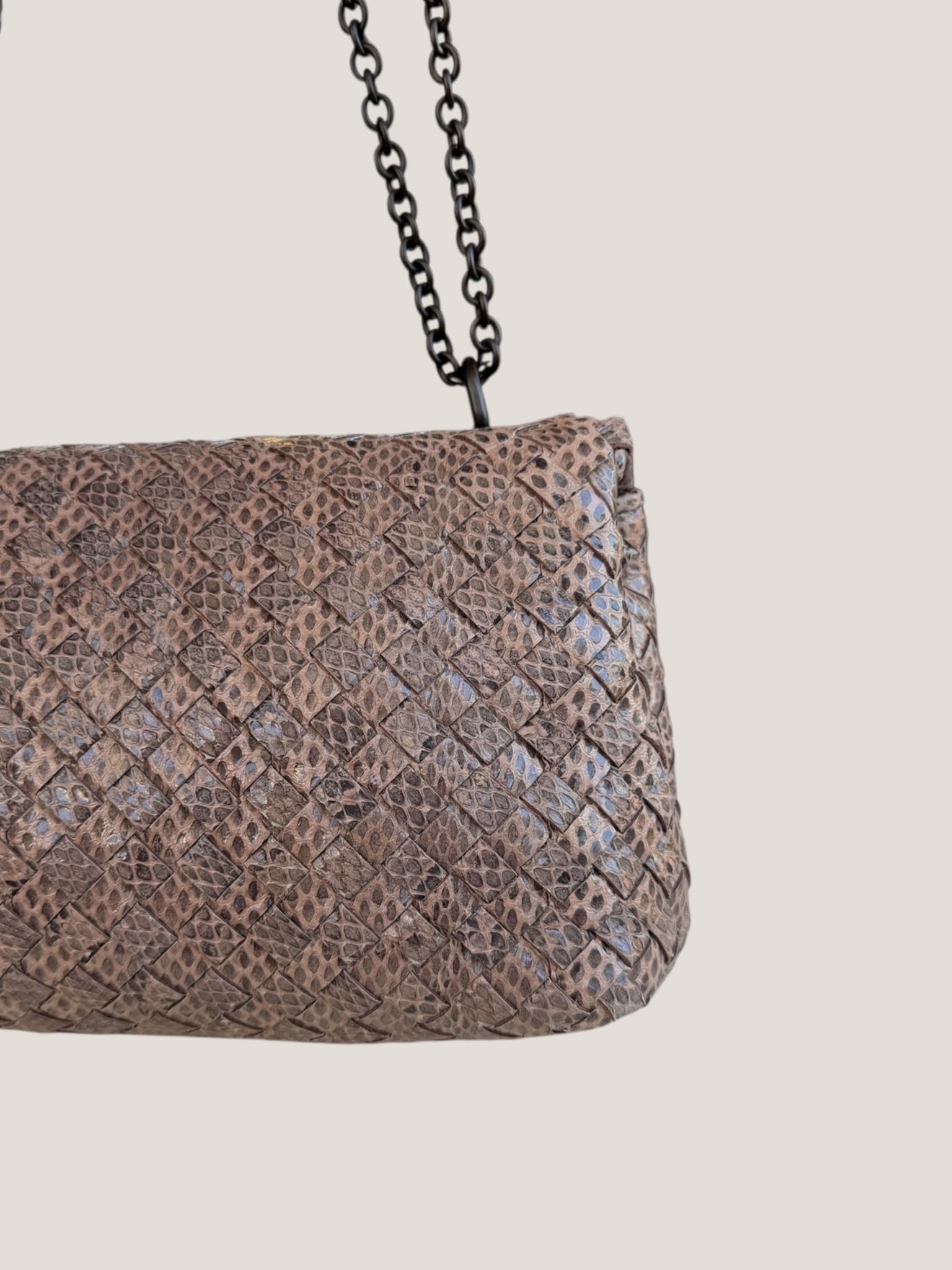 Bottega Veneta Intrecciato Serpente