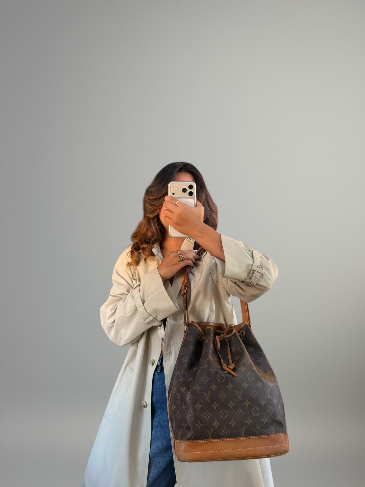 Louis Vuitton Noé GM Monogram