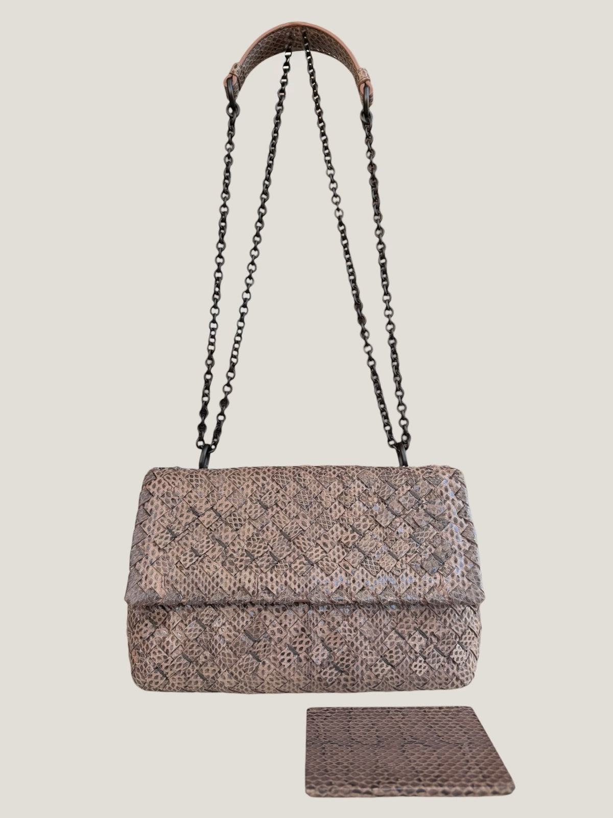 Bottega Veneta Intrecciato Serpente