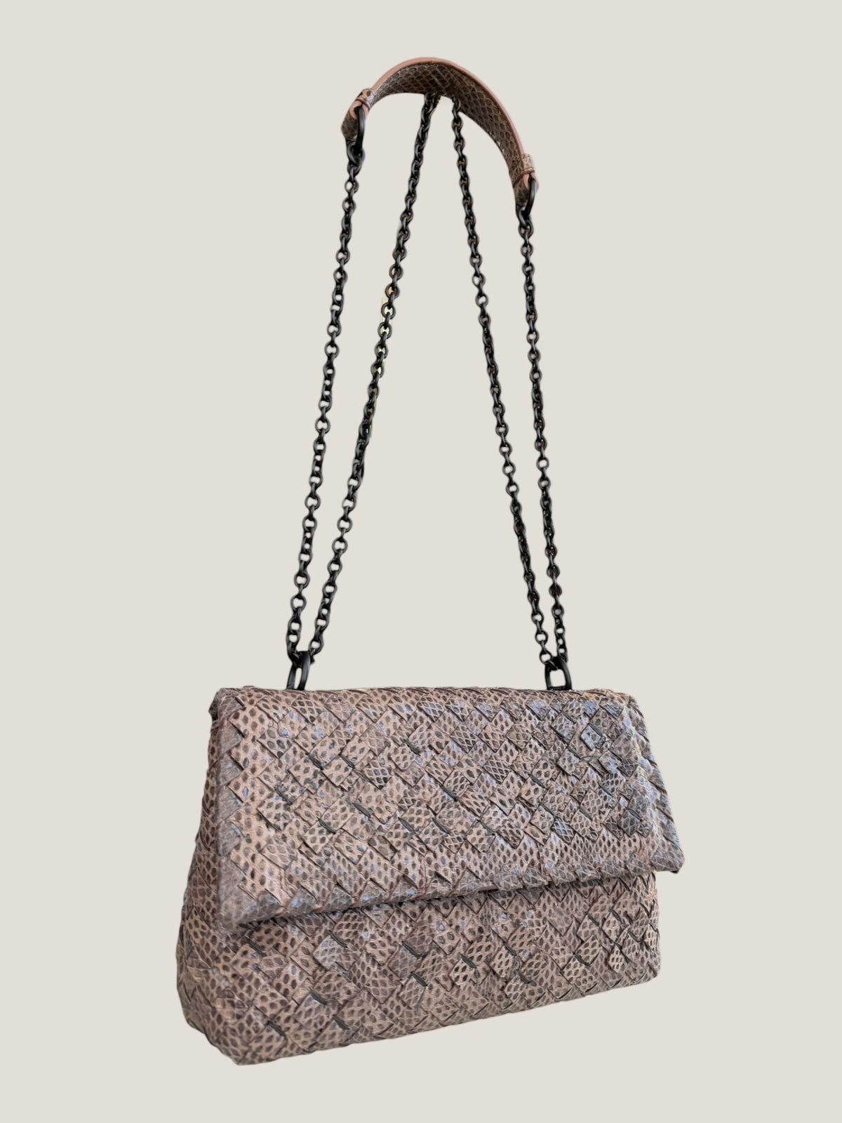 Bottega Veneta Intrecciato Serpente