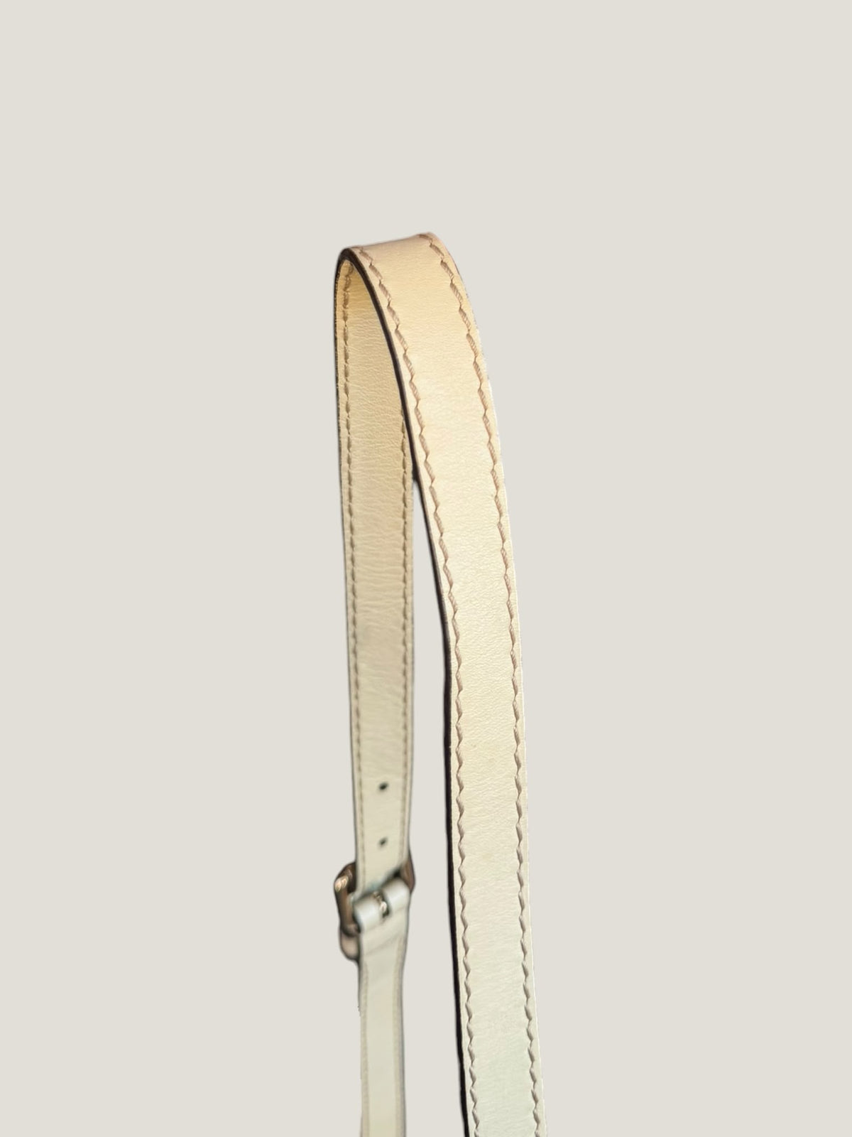 Gucci Sukey Flap GG Canvas