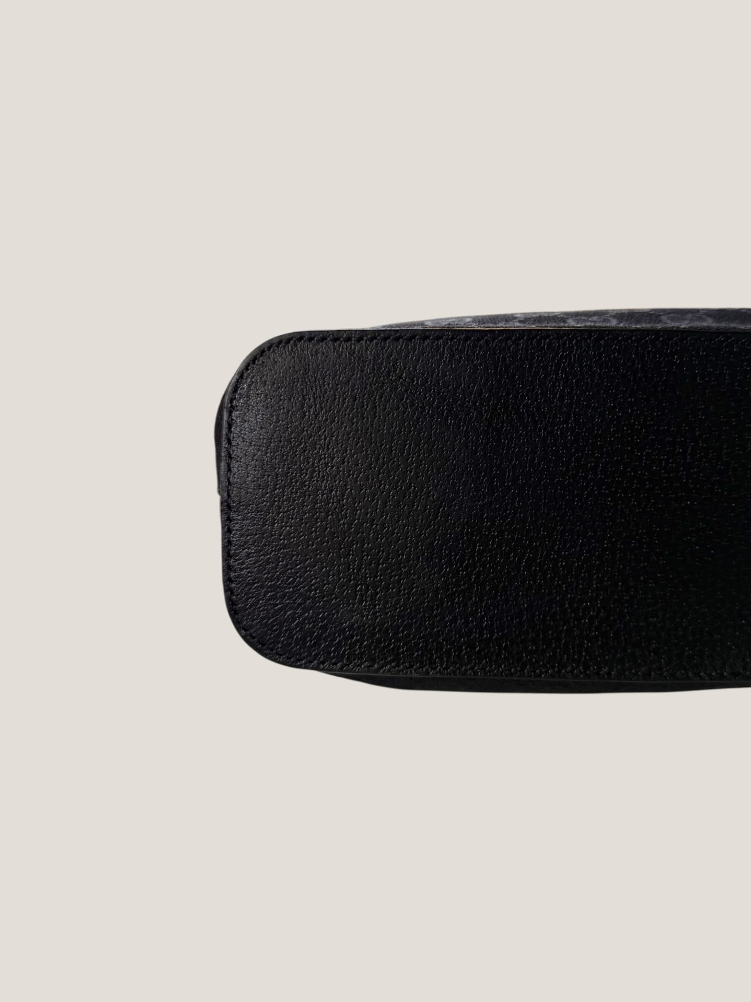 Gucci Black GG Canvas Hobo