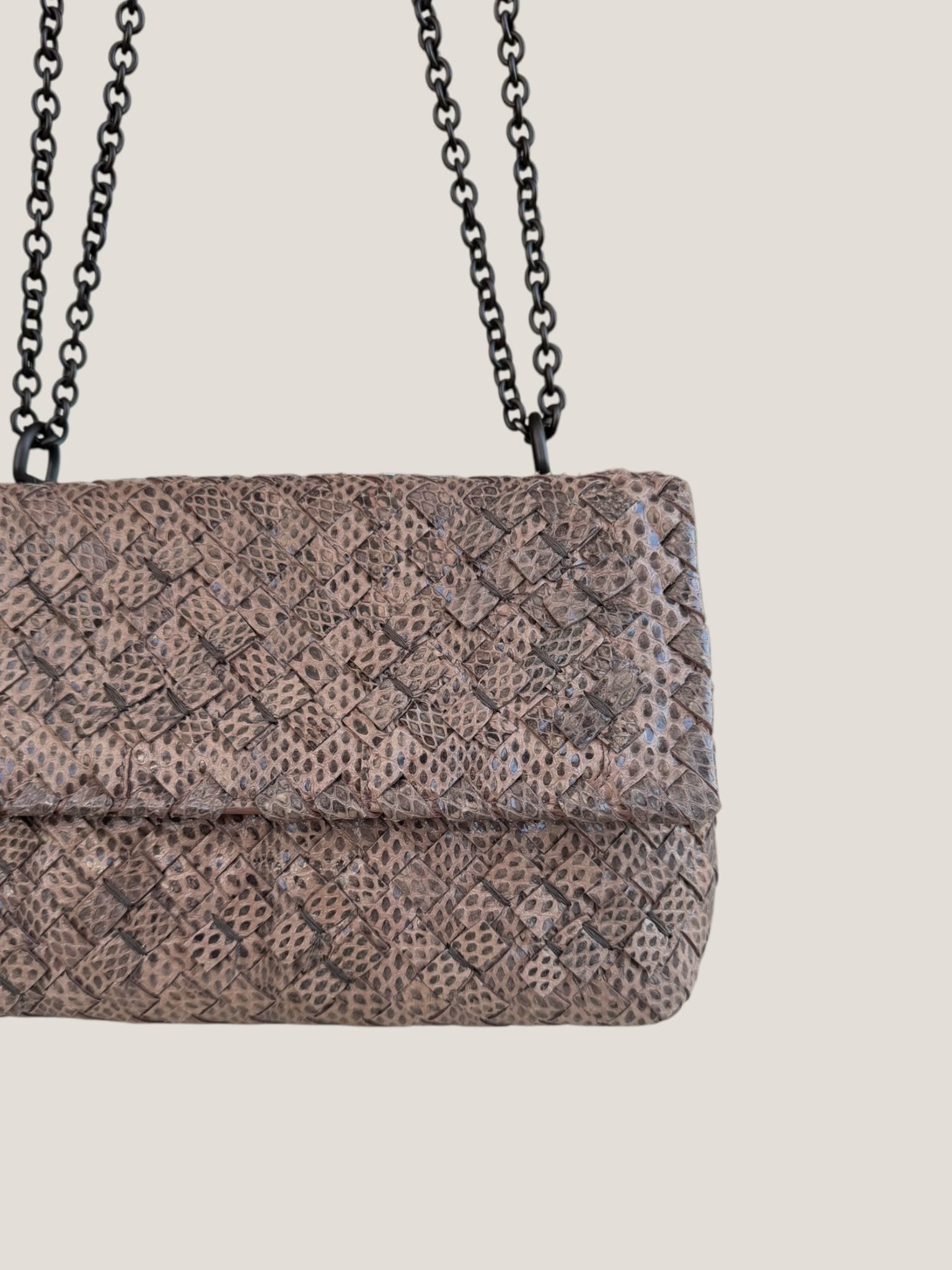 Bottega Veneta Intrecciato Serpente