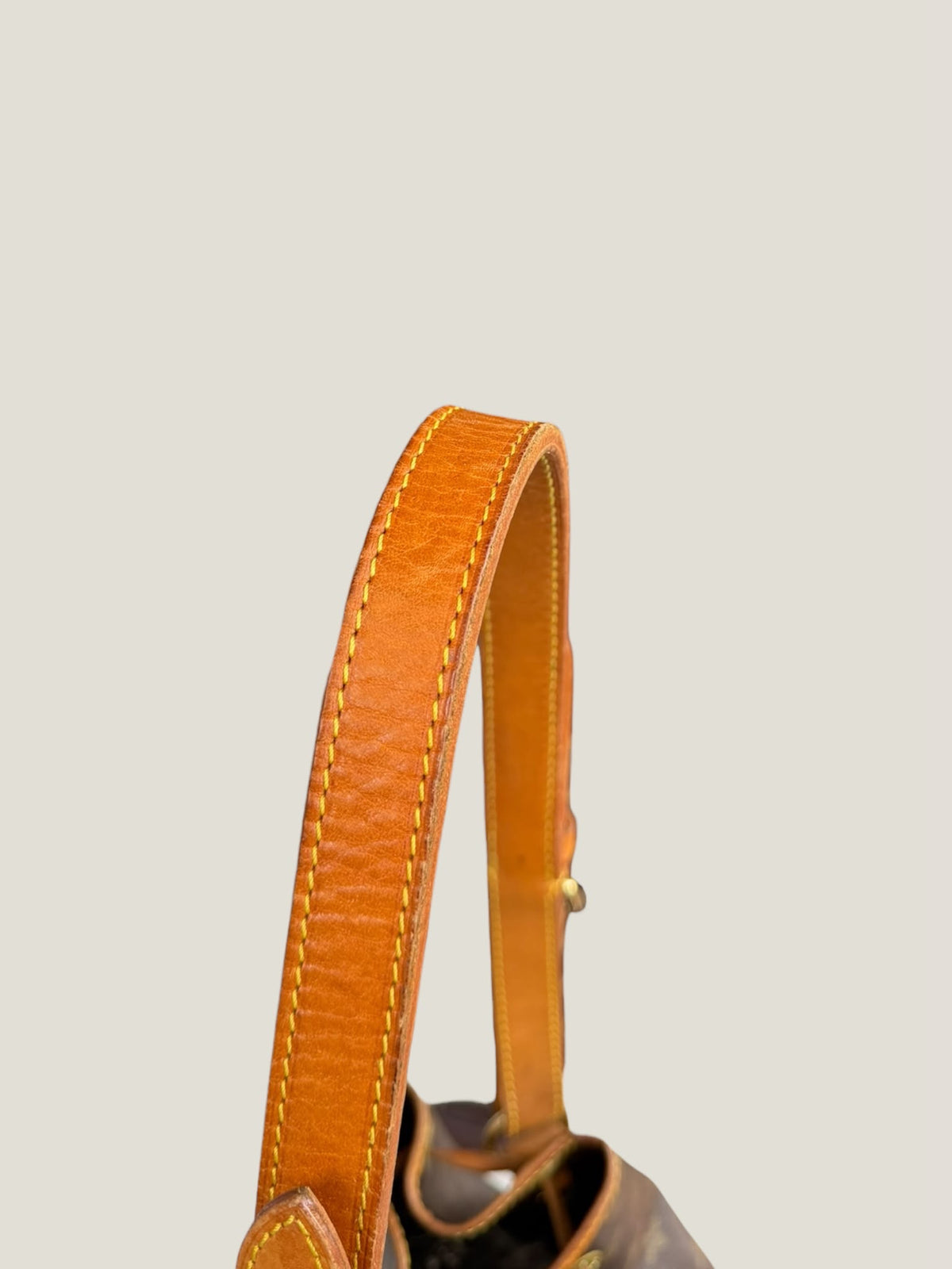 Louis Vuitton Noé GM Monogram