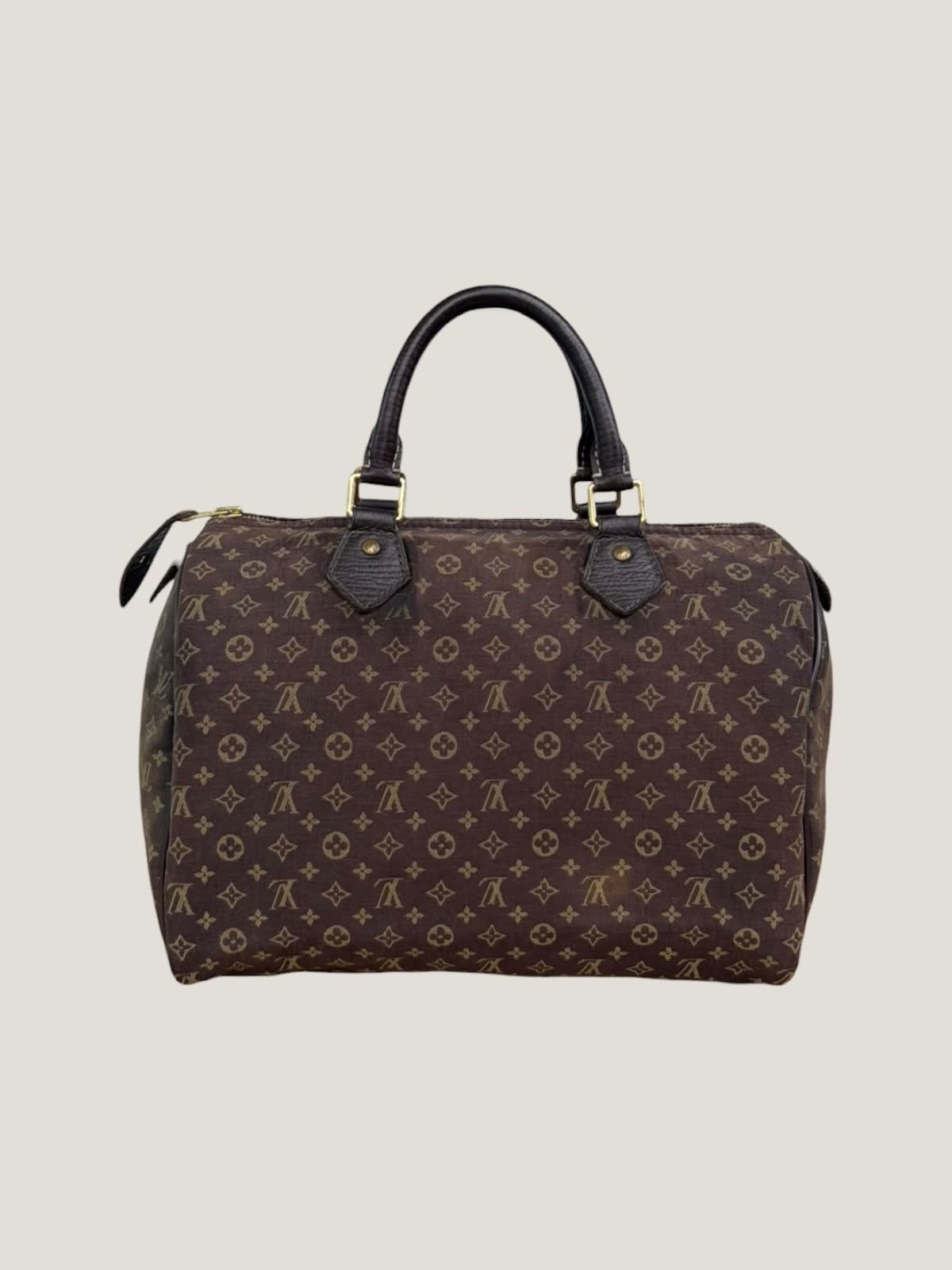 Louis Vuitton Speedy 30 Mini Lin