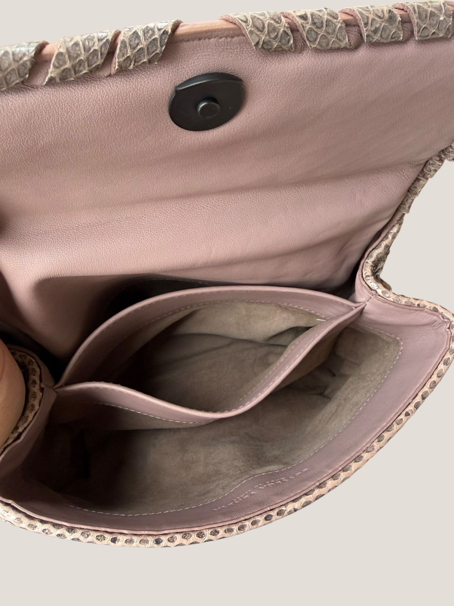 Bottega Veneta Intrecciato Serpente